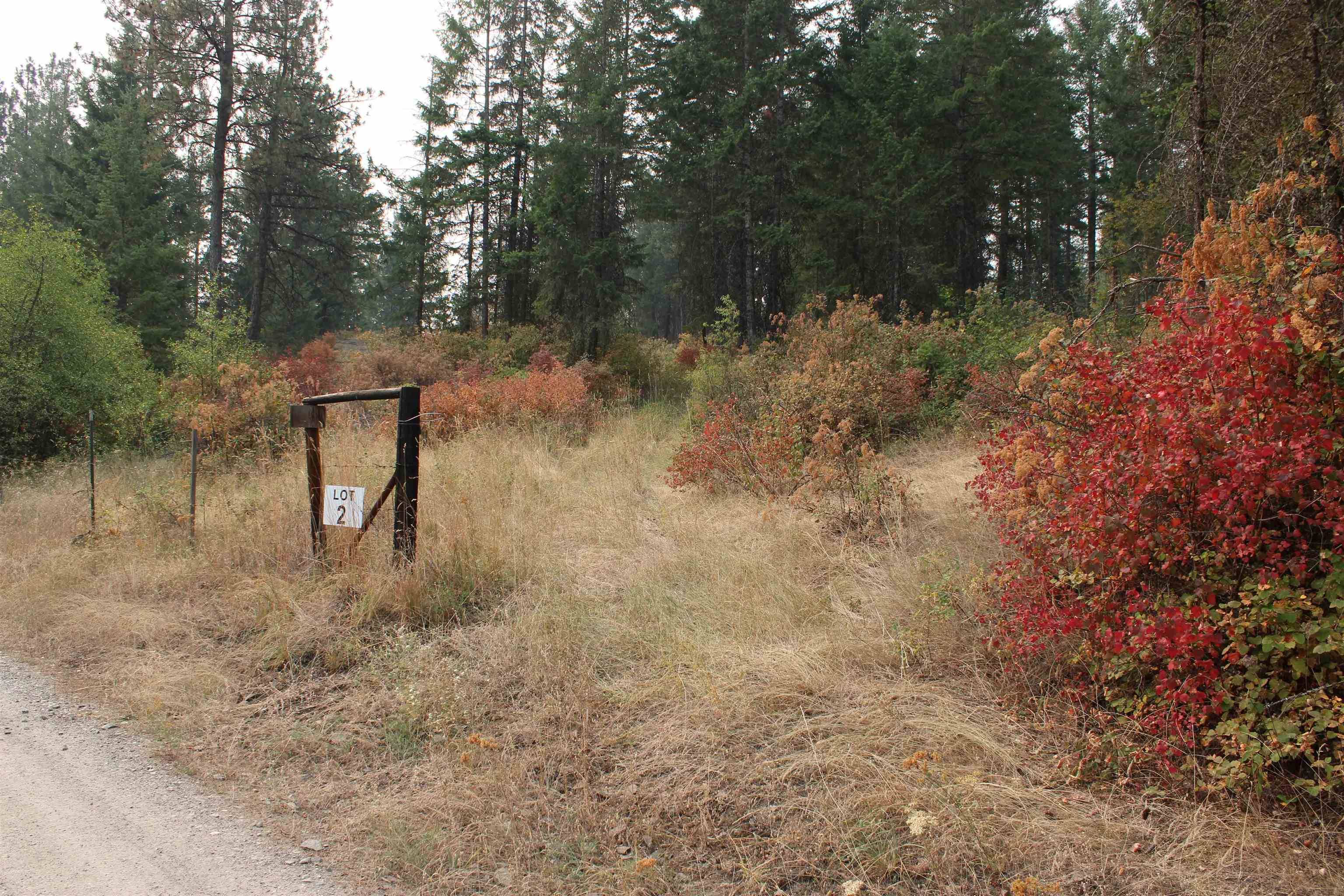 NKA Pine Rose (Lot 2) WAY, Chewelah, WA 99109