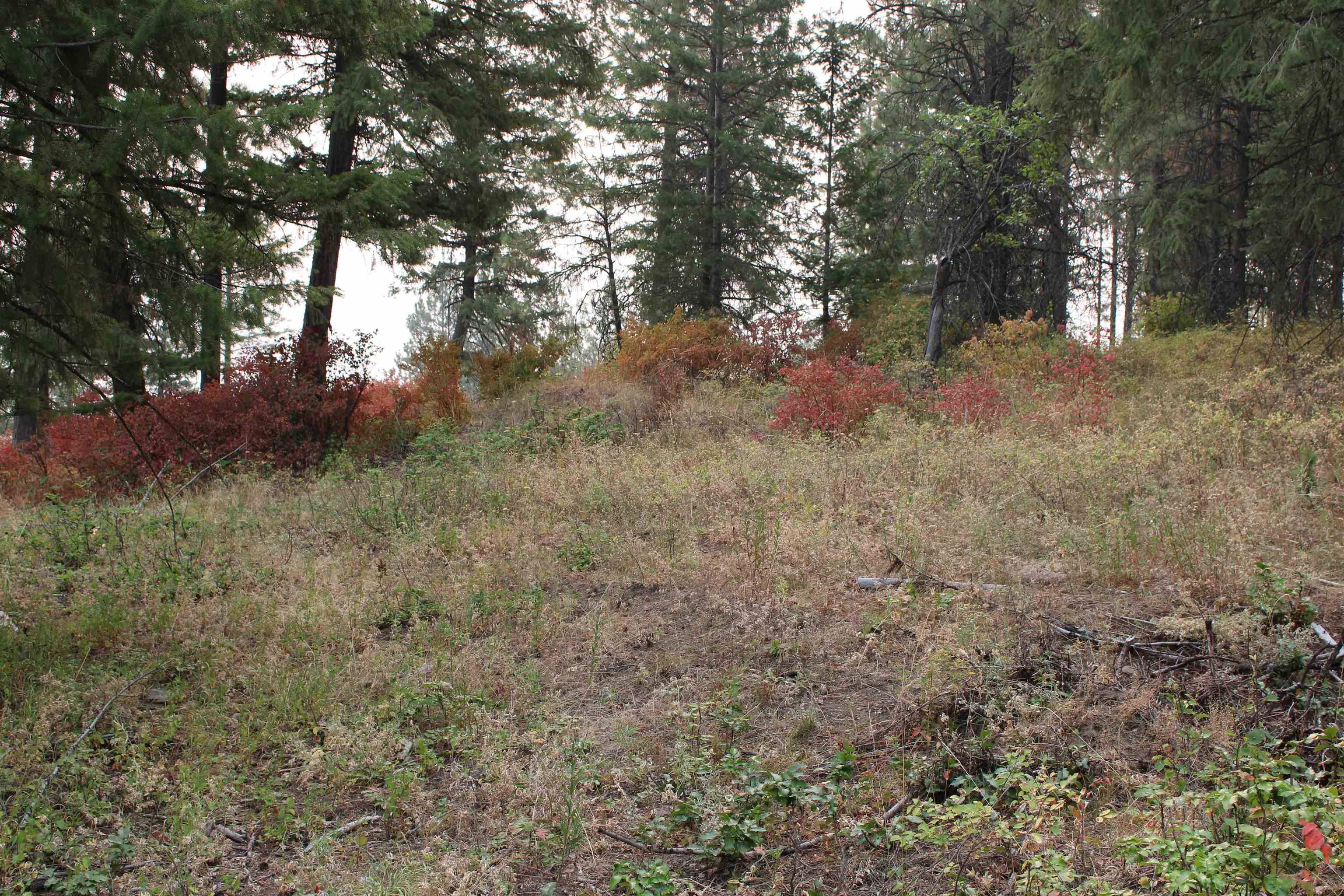 NKA Pine Rose (Lot 2) WAY, Chewelah, WA 99109