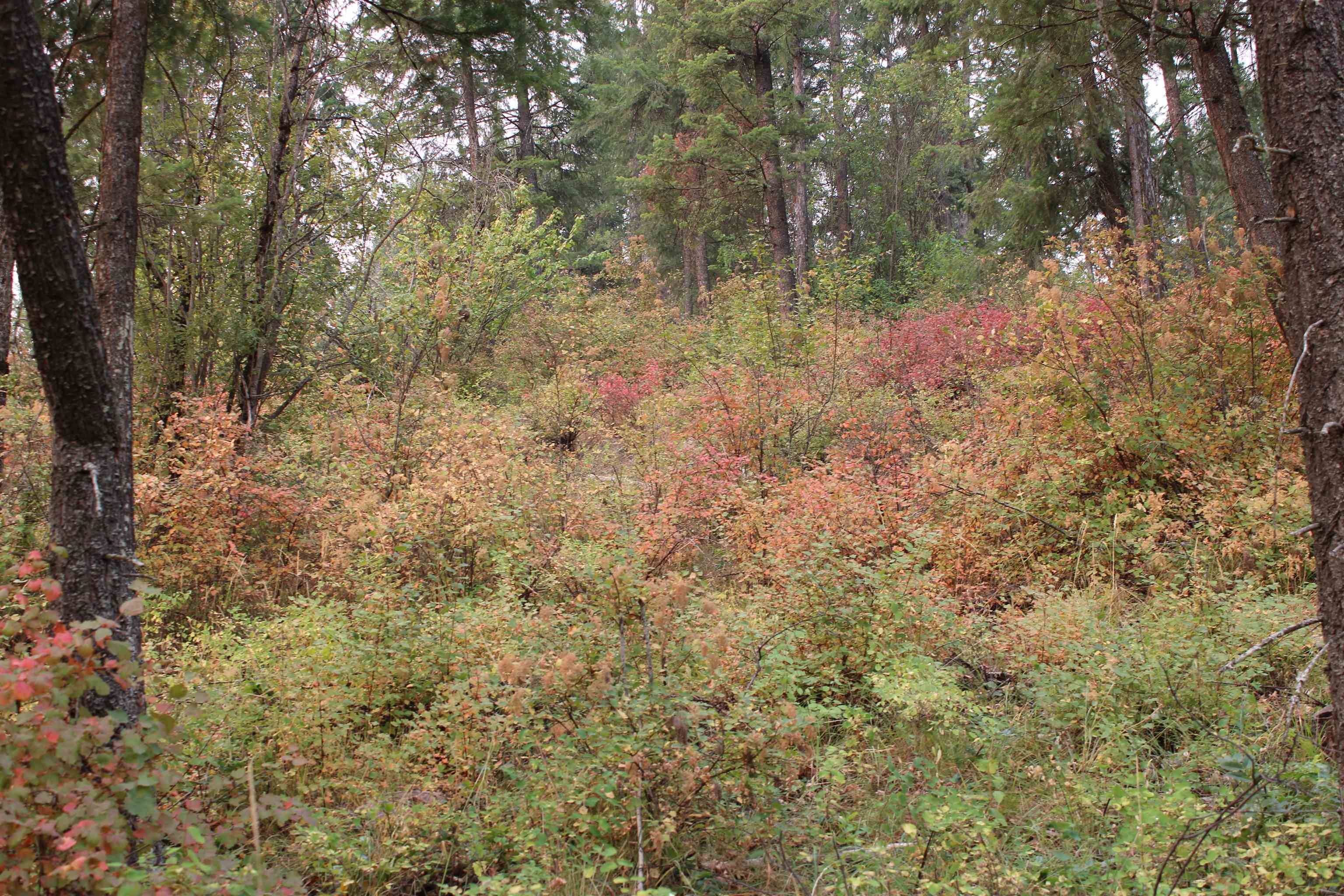 NKA Pine Rose (Lot 2) WAY, Chewelah, WA 99109