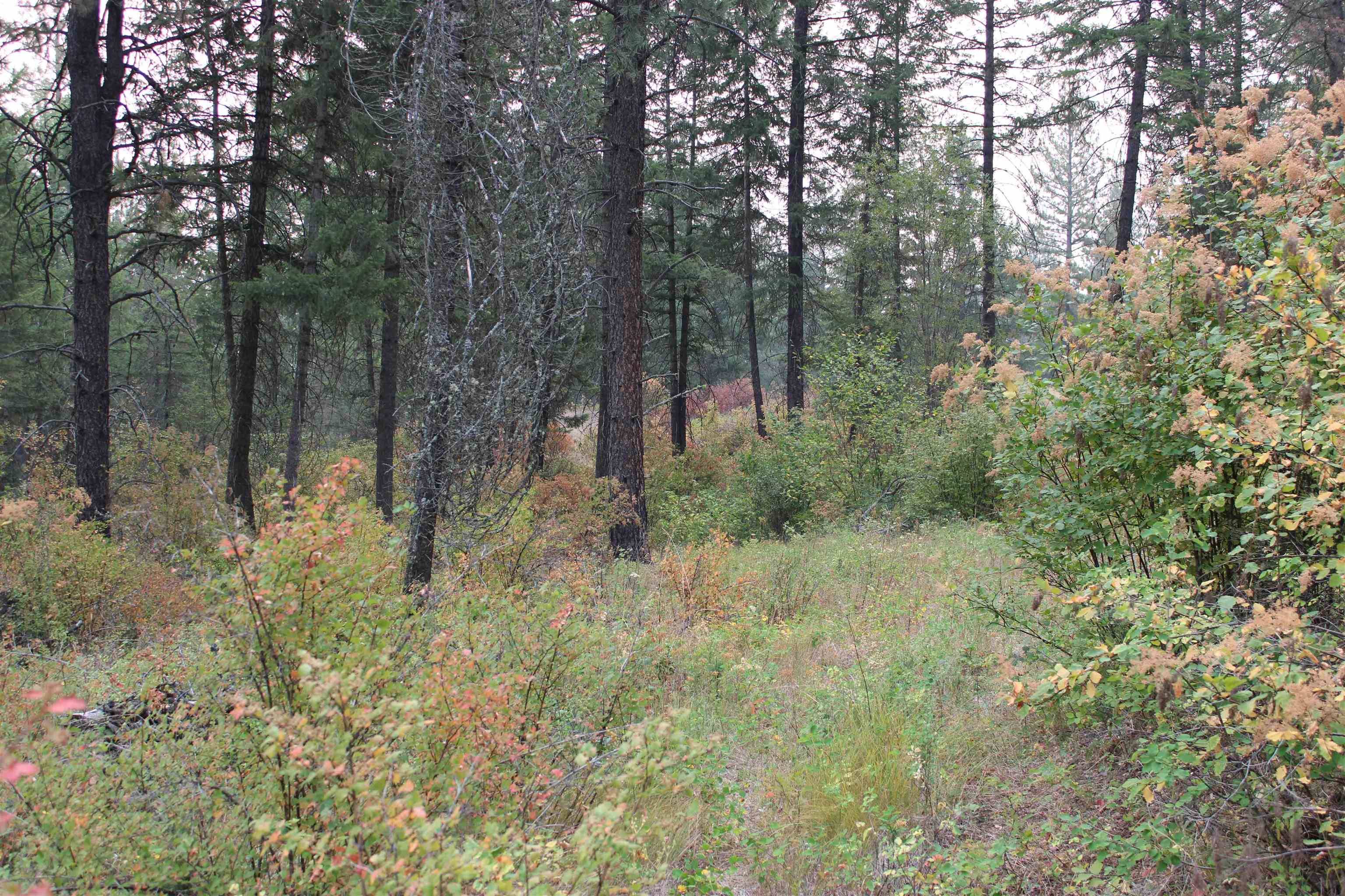 NKA Pine Rose (Lot 3) WAY, Chewelah, WA 99109