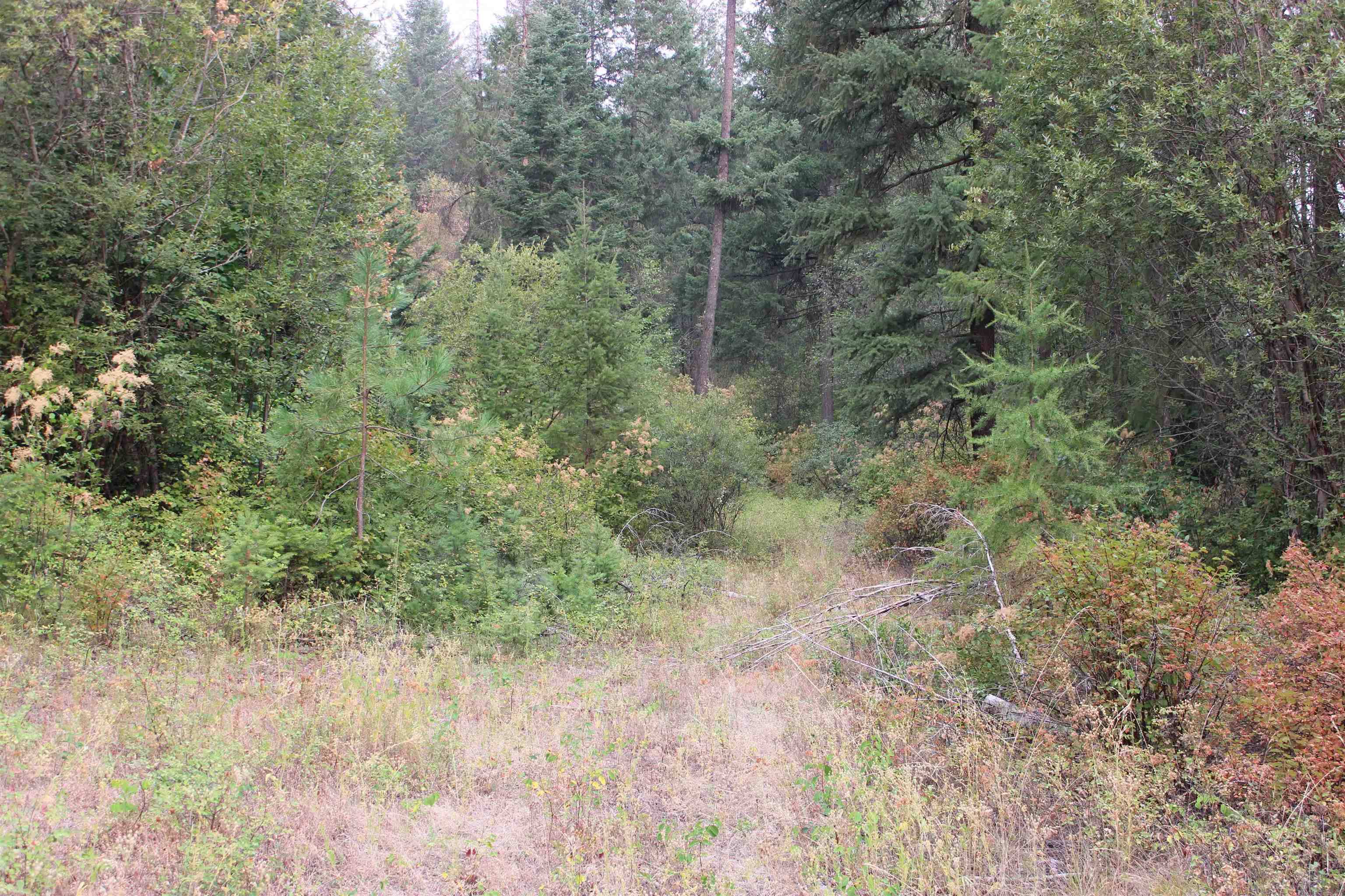 NKA Pine Rose (Lot 3) WAY, Chewelah, WA 99109