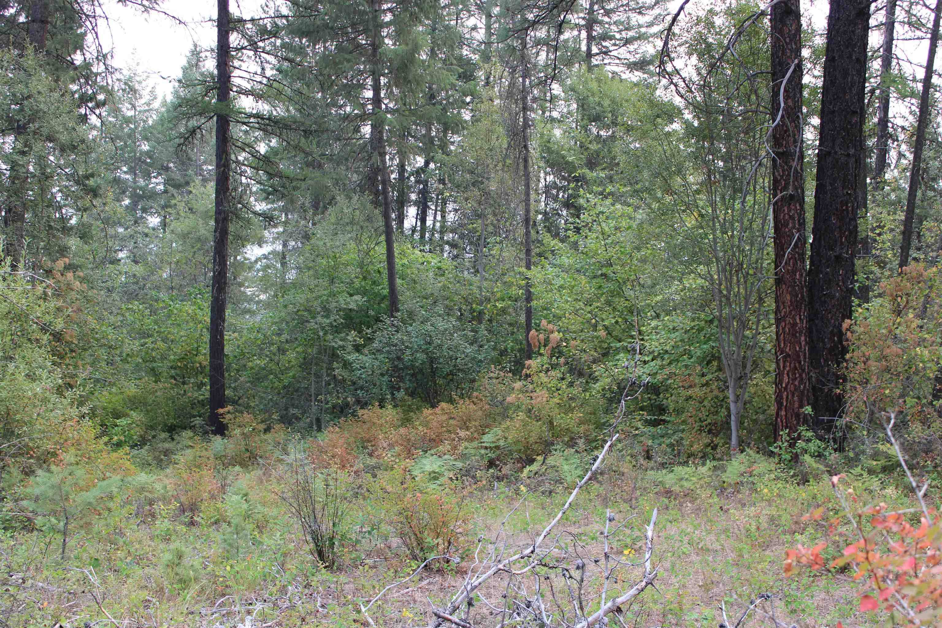 NKA Pine Rose (Lot 3) WAY, Chewelah, WA 99109