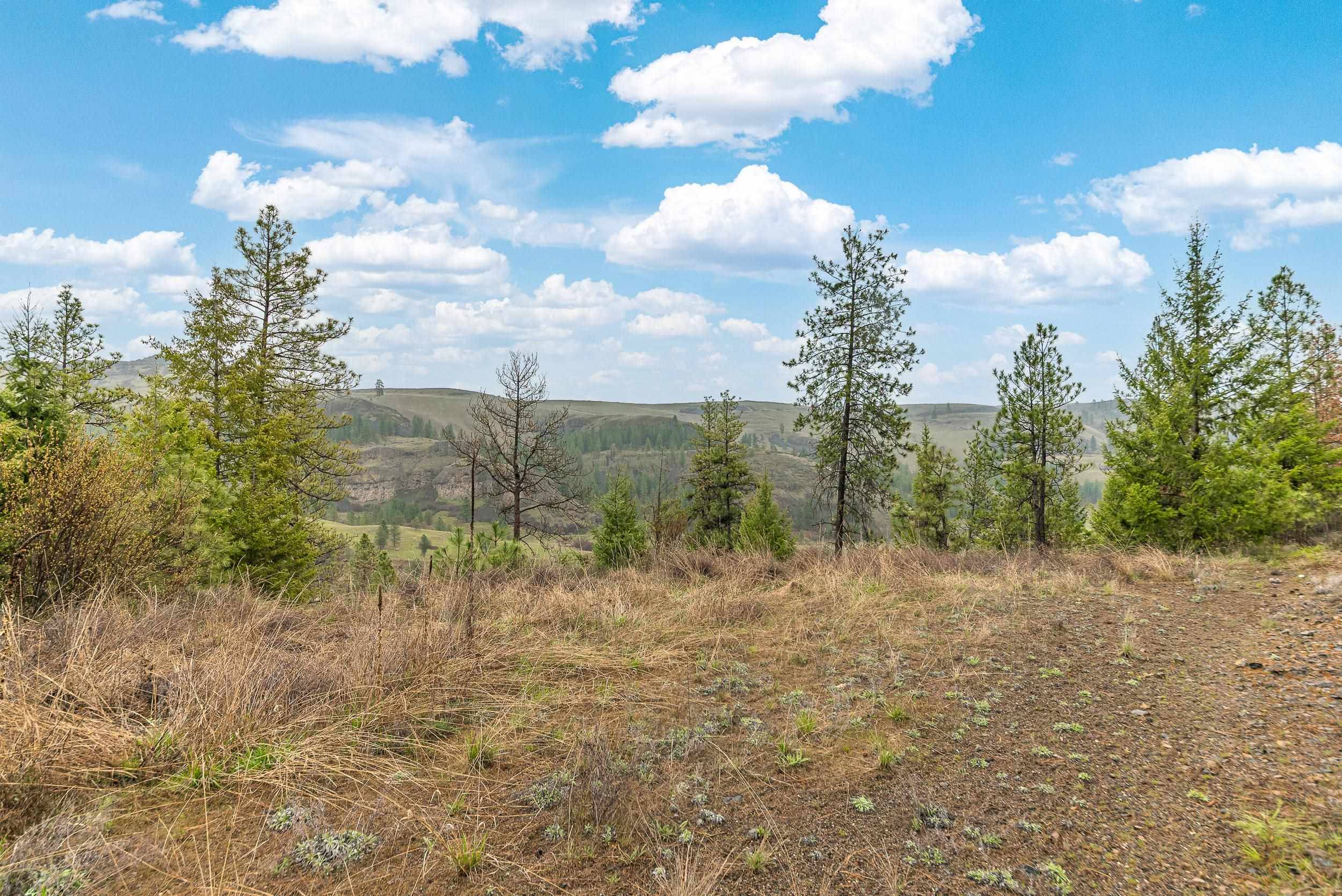 35394 Spruce Grouse Ln N, Davenport, WA 99122