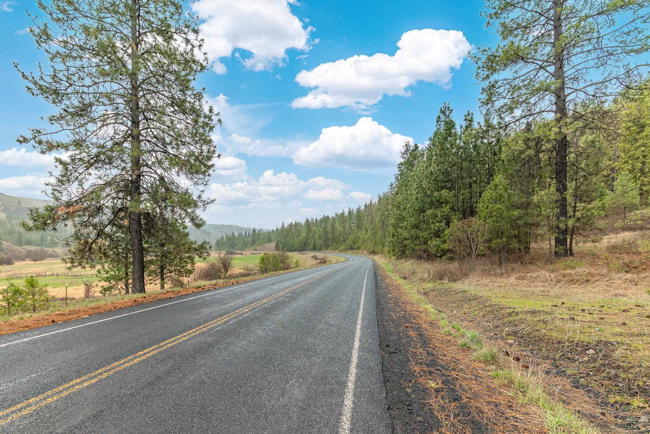 35394 Spruce Grouse Ln N, Davenport, WA 99122