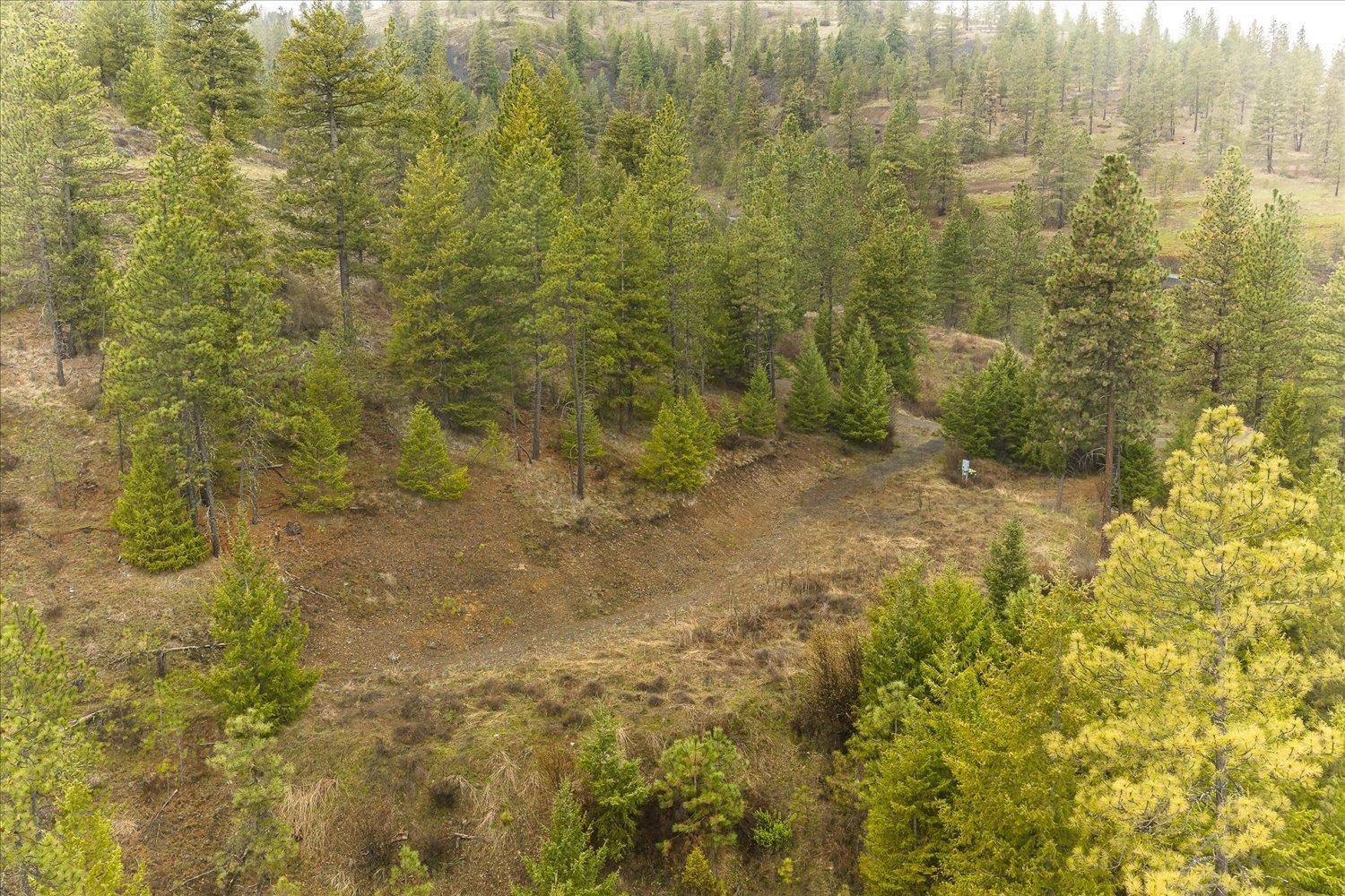 35394 Spruce Grouse Ln N, Davenport, WA 99122