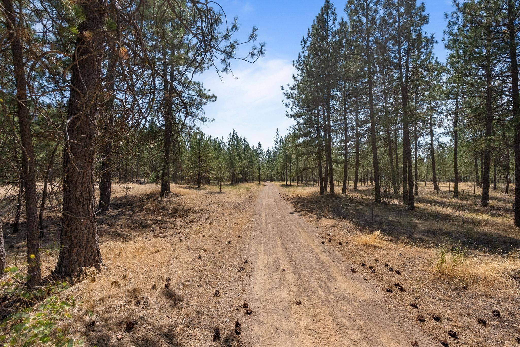 00 N MATHIAS Ln, Nine Mile Falls, WA 99026