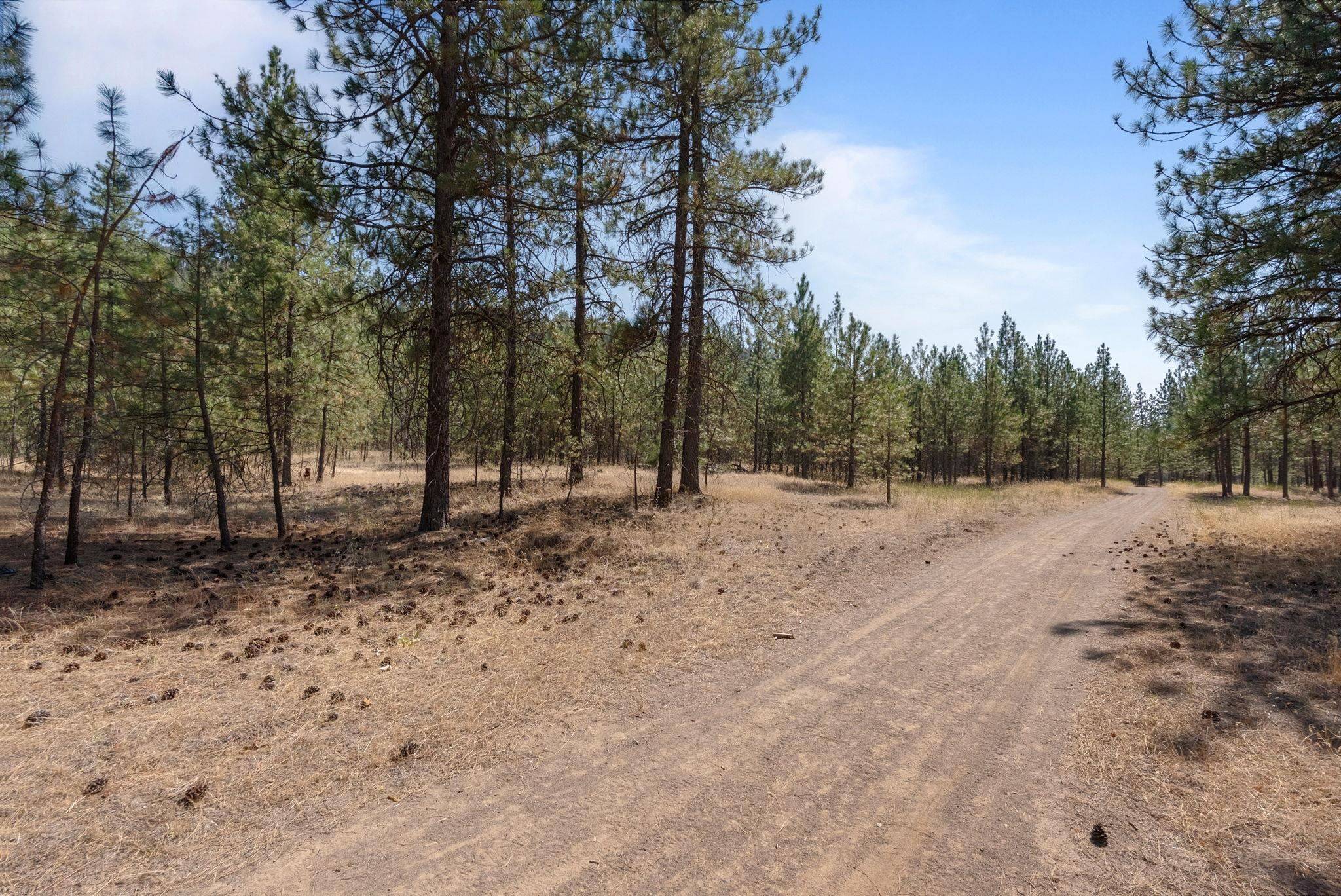 00 N MATHIAS Ln, Nine Mile Falls, WA 99026