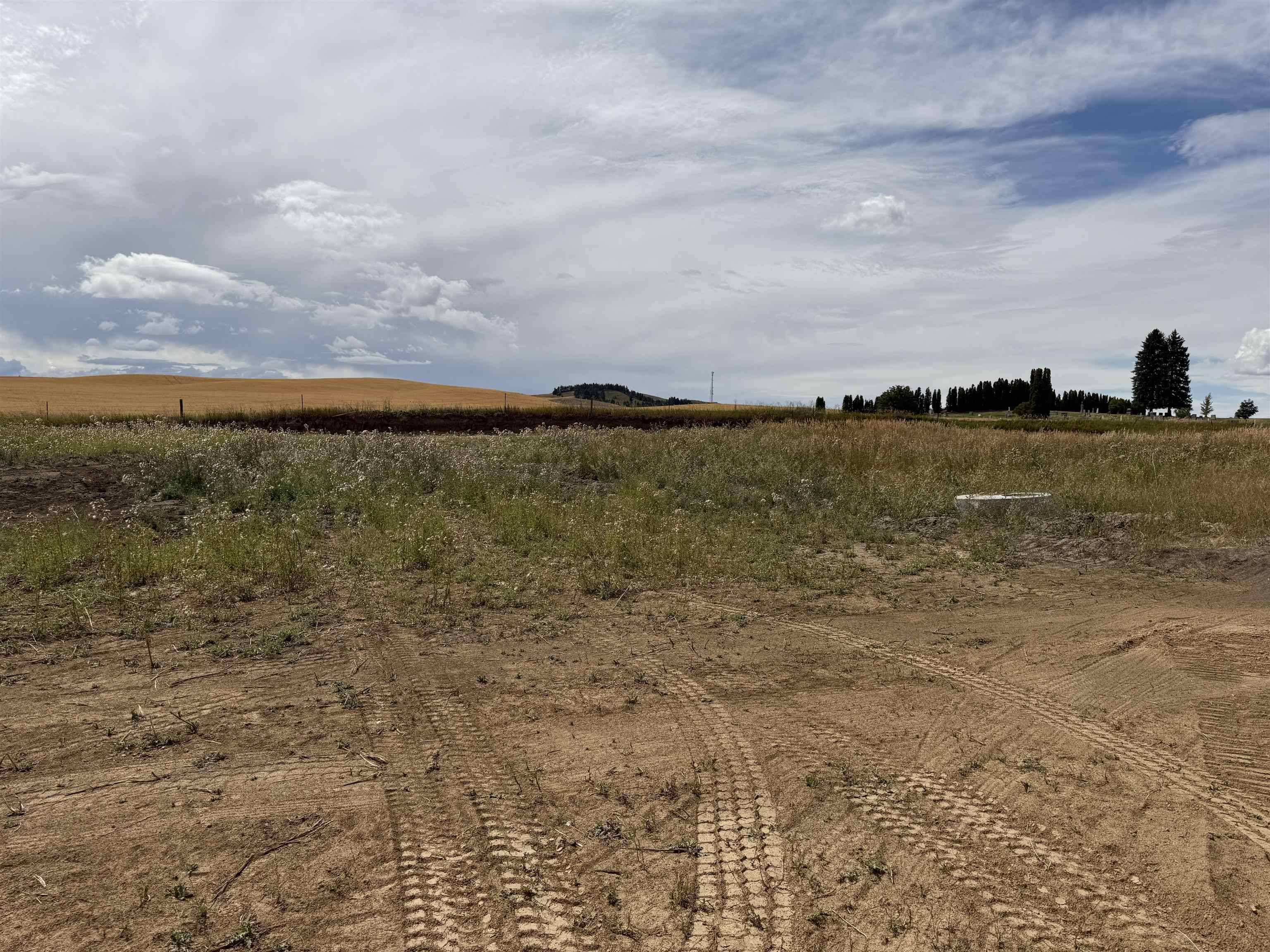 520 Davisadero (Lot only) St, Reardan, WA 99029