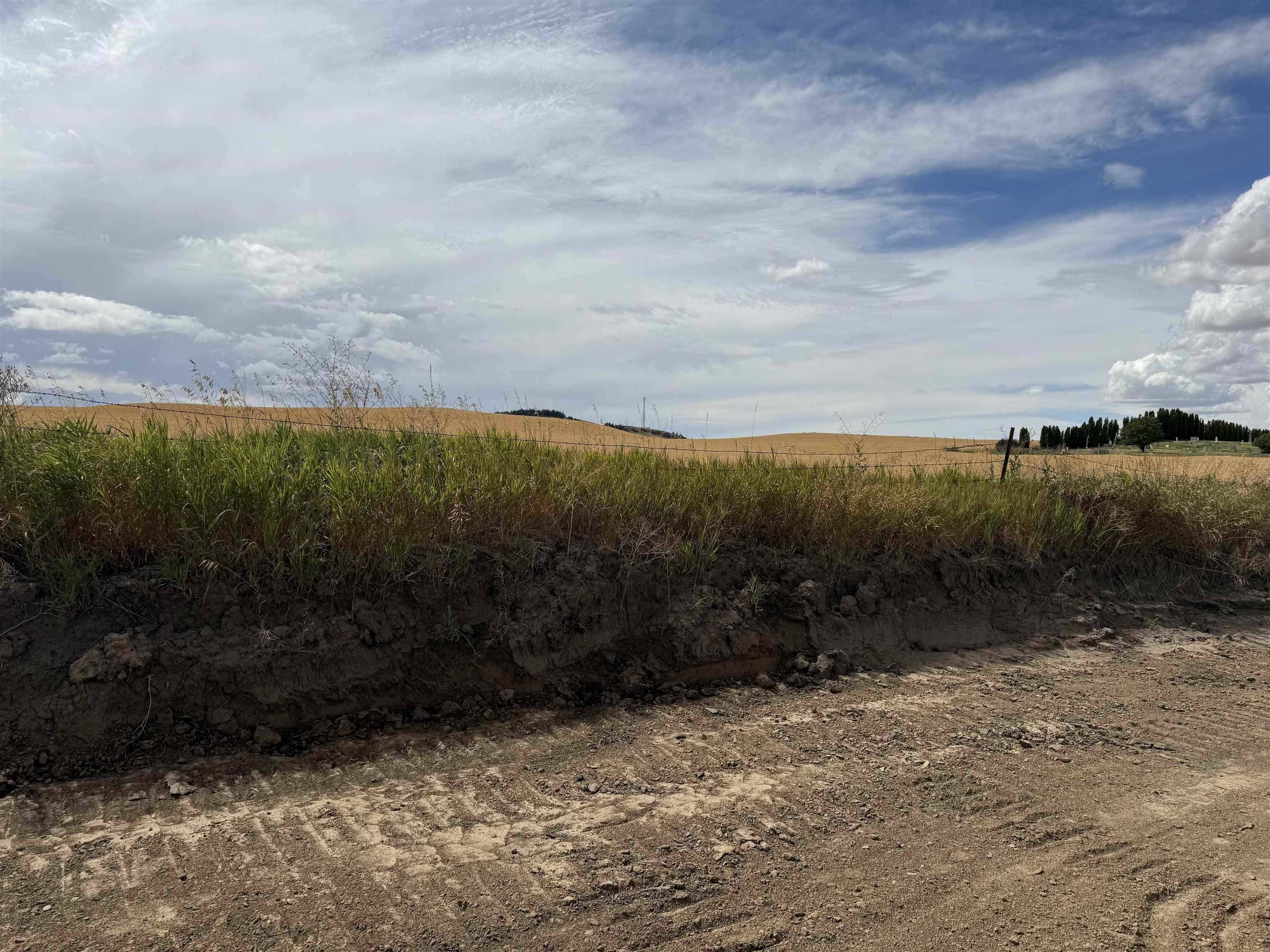 520 Davisadero (Lot only) St, Reardan, WA 99029
