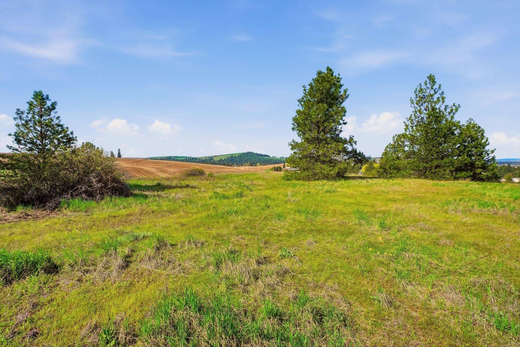 00 Unknown W 4th Avenue Dr, Cheney, WA 99004
