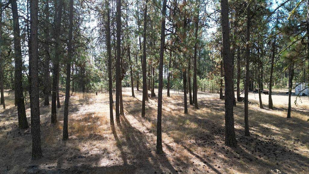 1212 S Brooks Rd, Medical Lake, WA 99022
