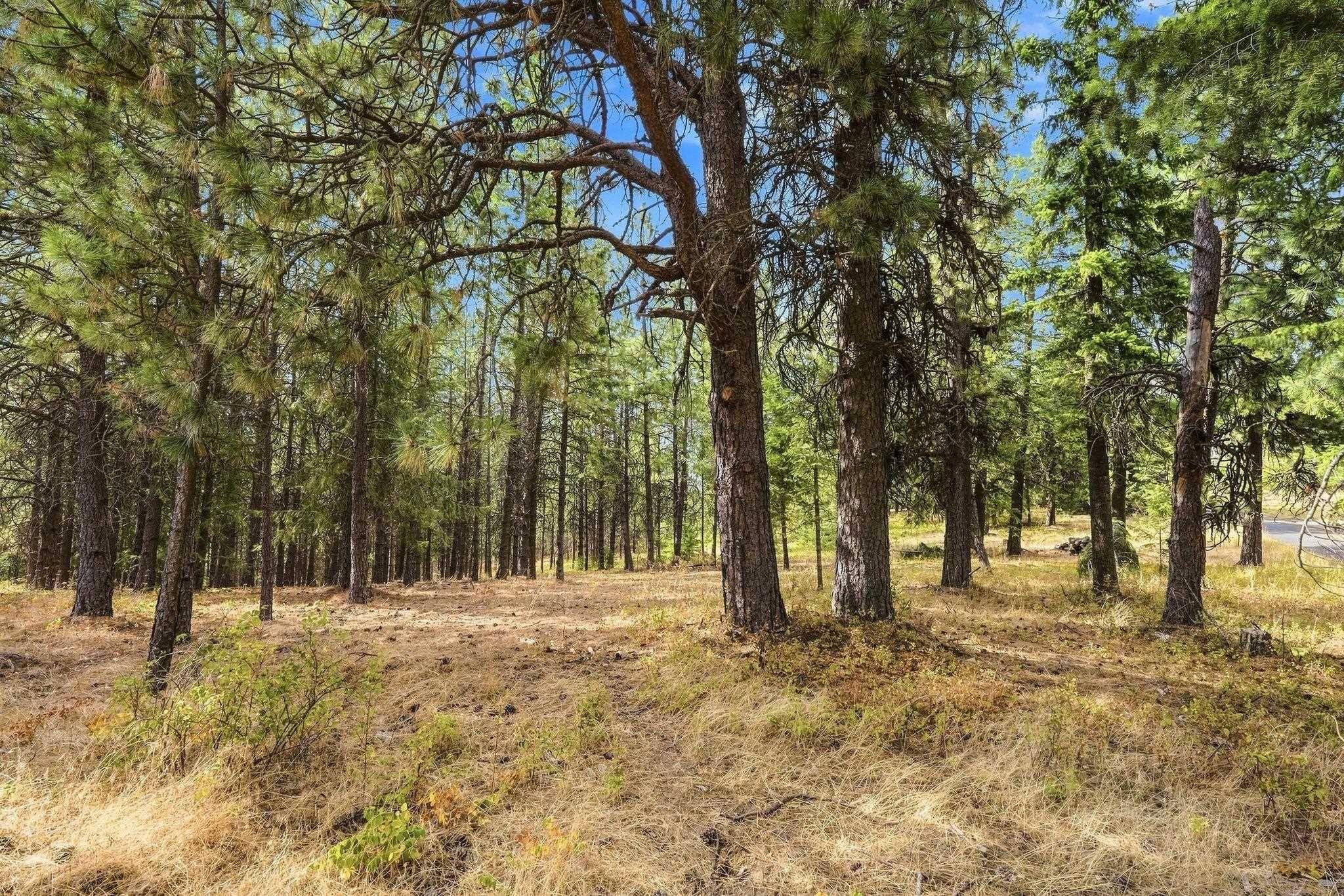 NKA S Park Ln, Spokane, WA 99223