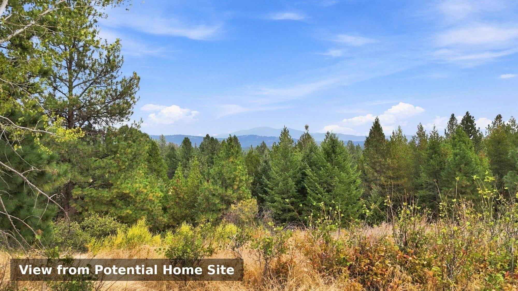 44xxx E North Park Ln, Deer Park, WA 99006