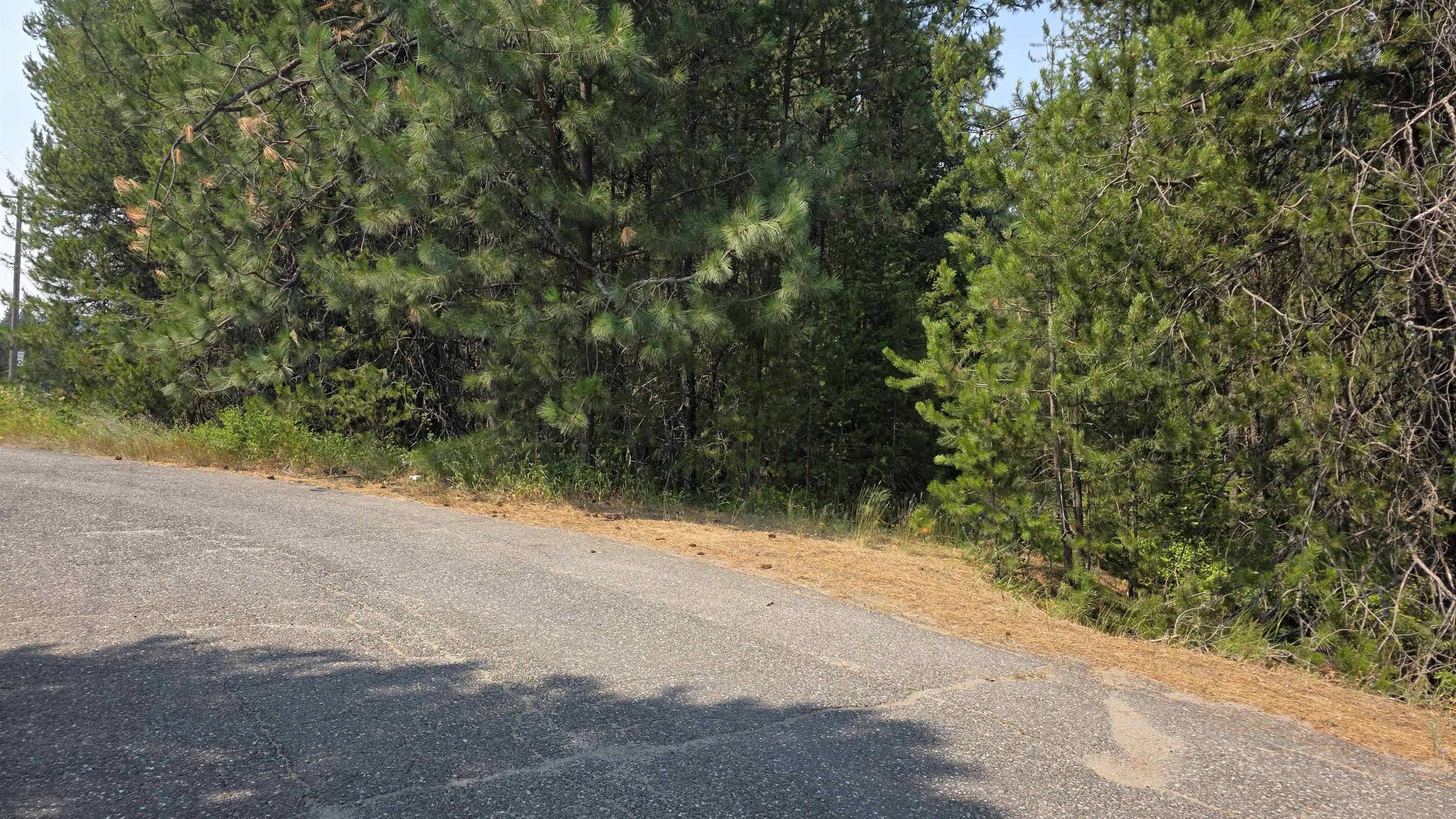 13 Lakeside Dr, Newport, WA 99156
