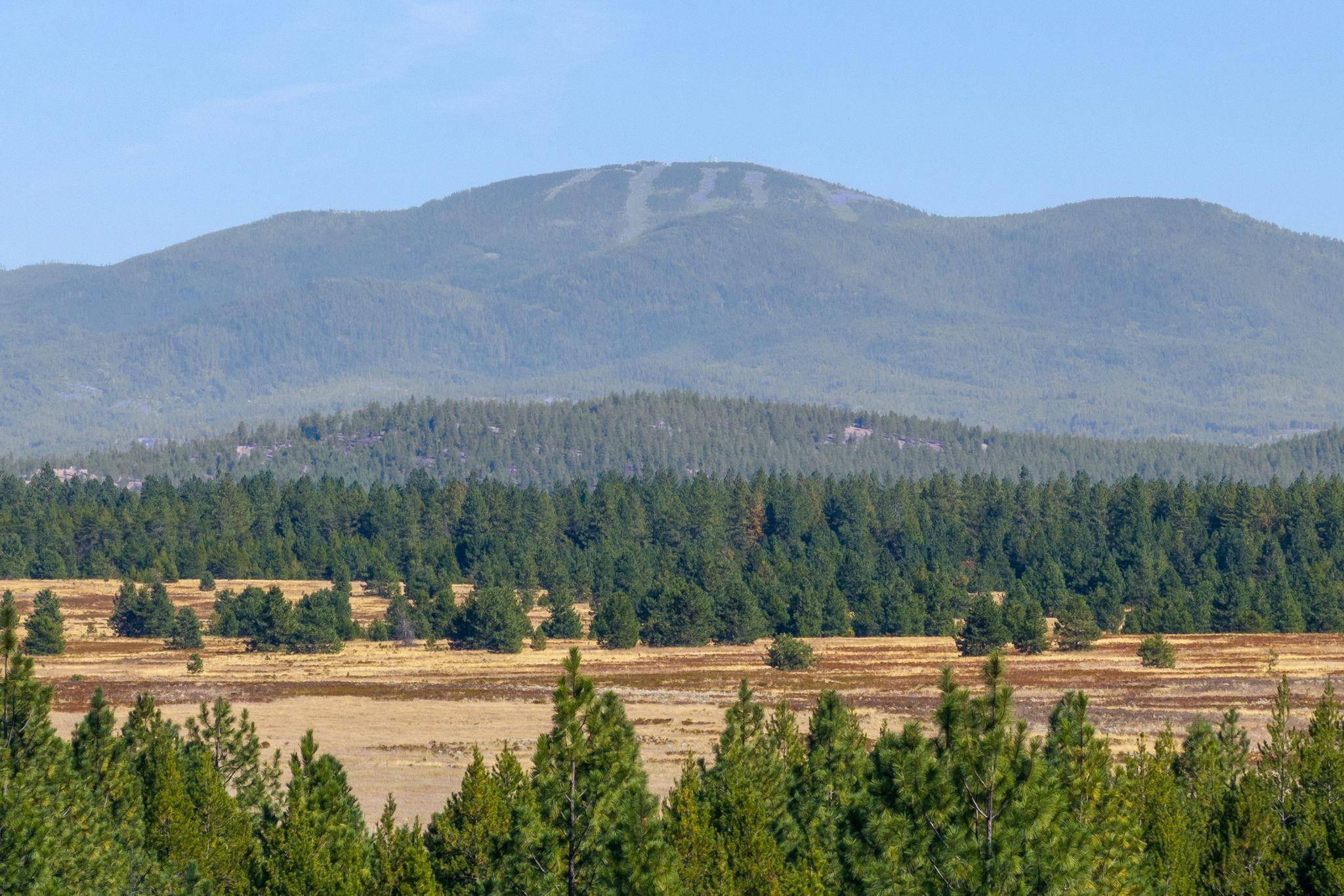 NKA E Slaton Rd #Lot 38, Deer Park, WA 99006