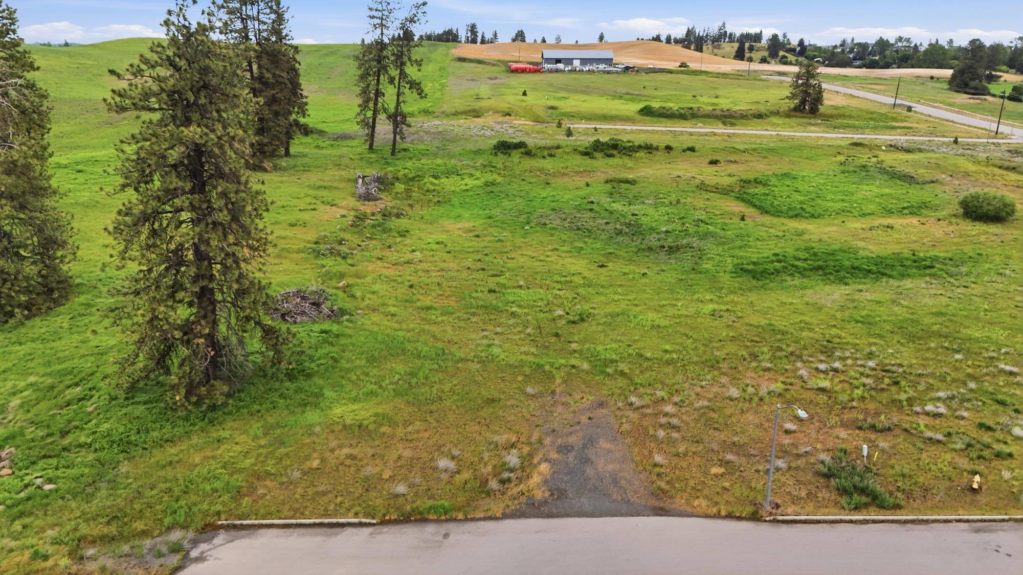 1648 Willow St St, Cheney, WA 99004
