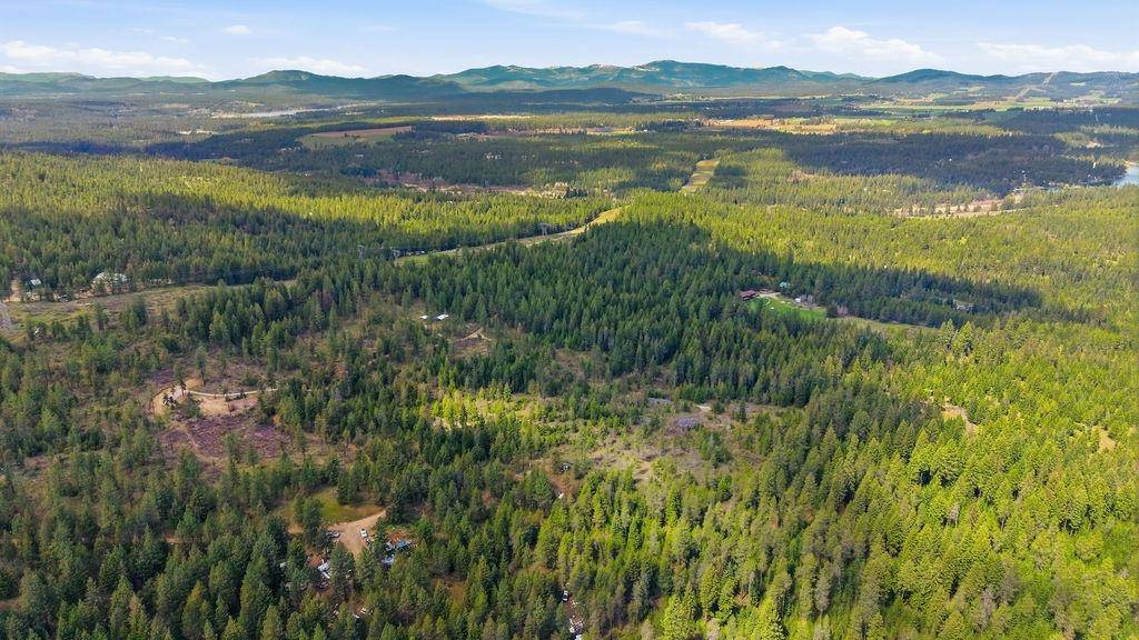 8300 E Lodge Pole Ln, Chattaroy, WA 99003