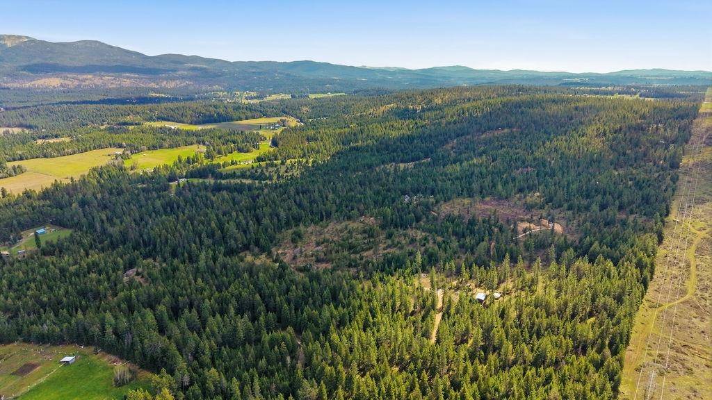 8300 E Lodge Pole Ln, Chattaroy, WA 99003