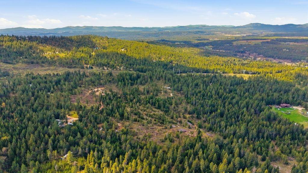 8300 E Lodge Pole Ln, Chattaroy, WA 99003