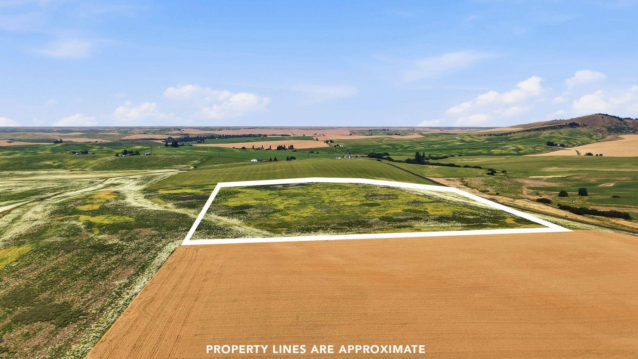 39.5 Acre Lot, Wheeler Rd, Latah, WA 99018