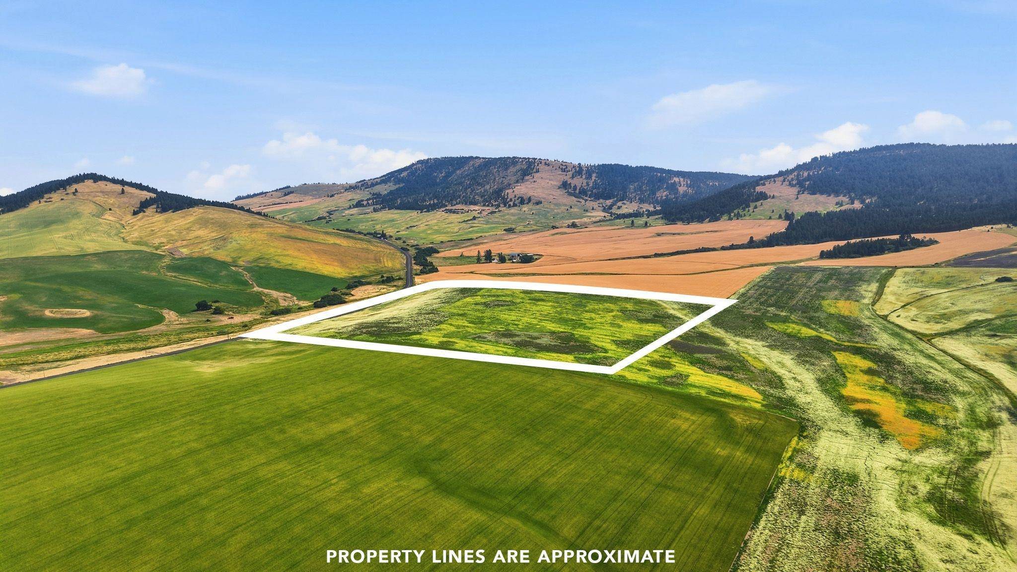 39.5 Acre Lot, Wheeler Rd, Latah, WA 99018
