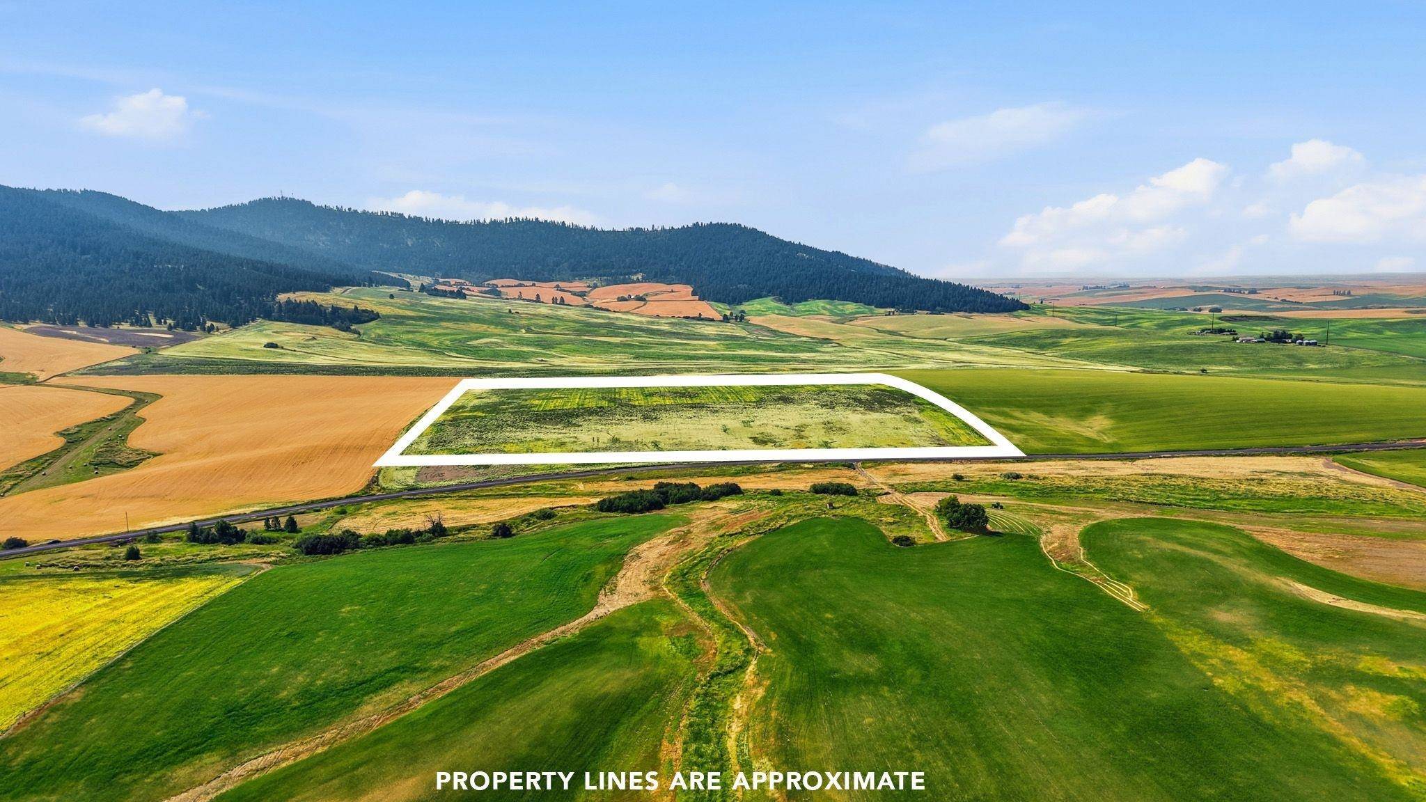 39.5 Acre Lot, Wheeler Rd, Latah, WA 99018