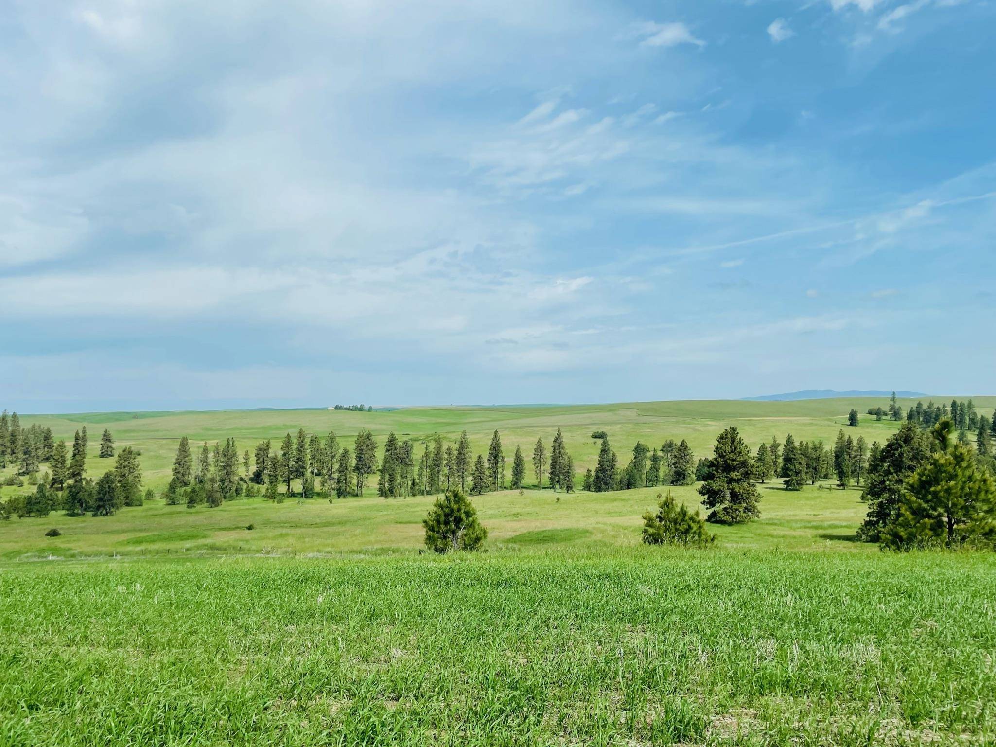 11900 Hays Rd #Lot A - Parcel 9030, Spangle, WA 99031