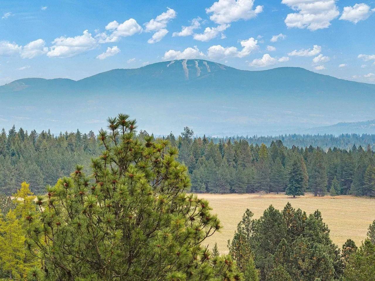 619 Duffer LOOP, Deer Park, WA 99006
