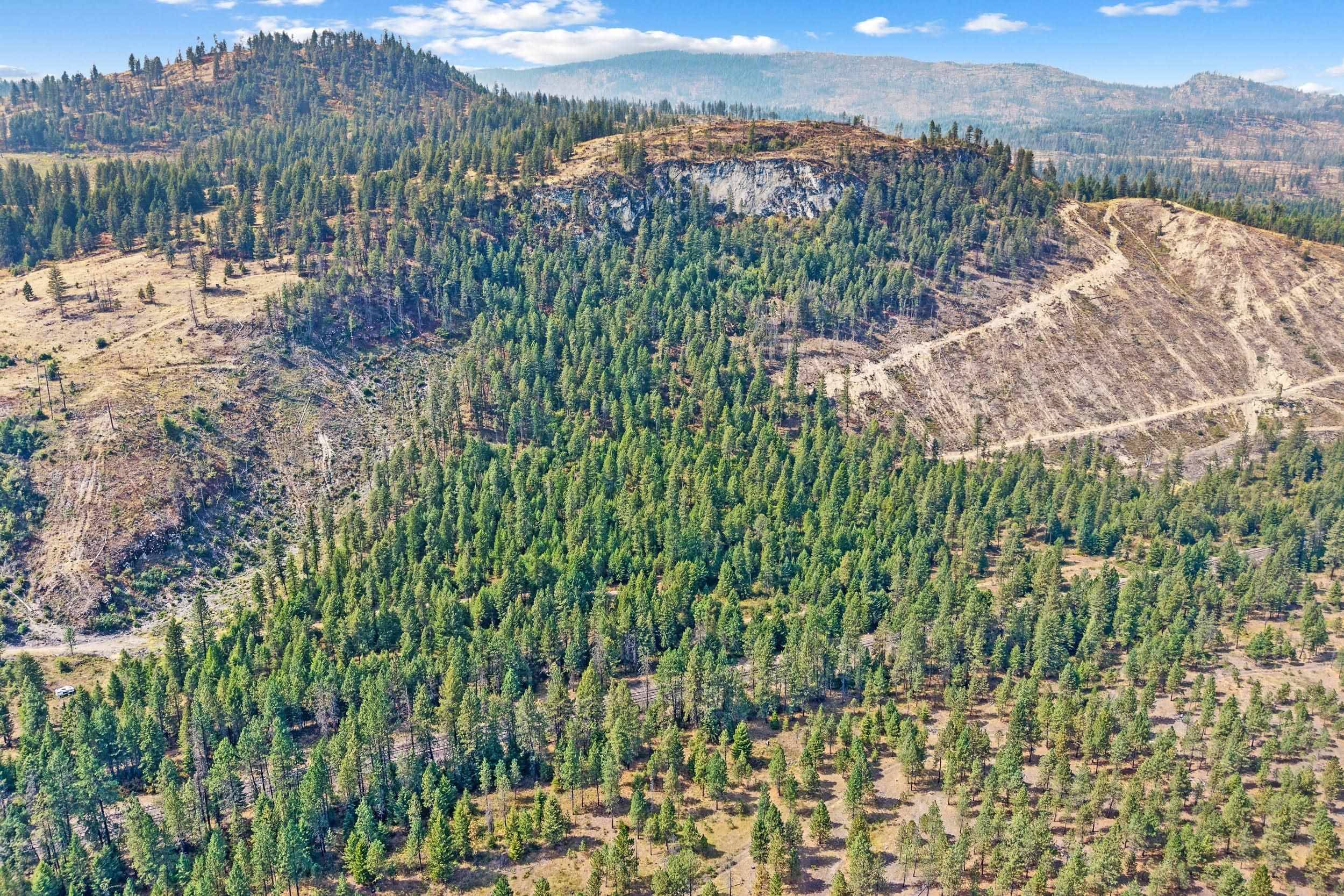 TBD Hwy 395 N, Kettle Falls, WA 99141