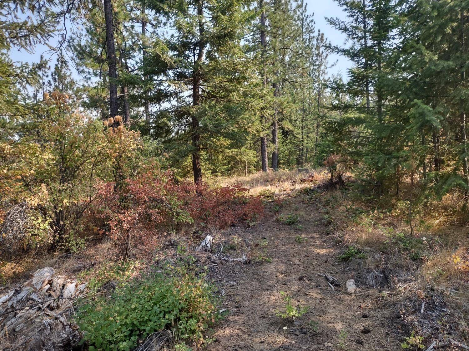 XX Lodgepole Ln, Elk, WA 99009