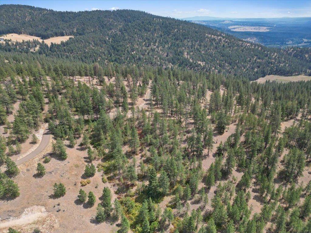 NKA Weaver WAY #Lot 4 of Lot 3, Deer Park, WA 99006