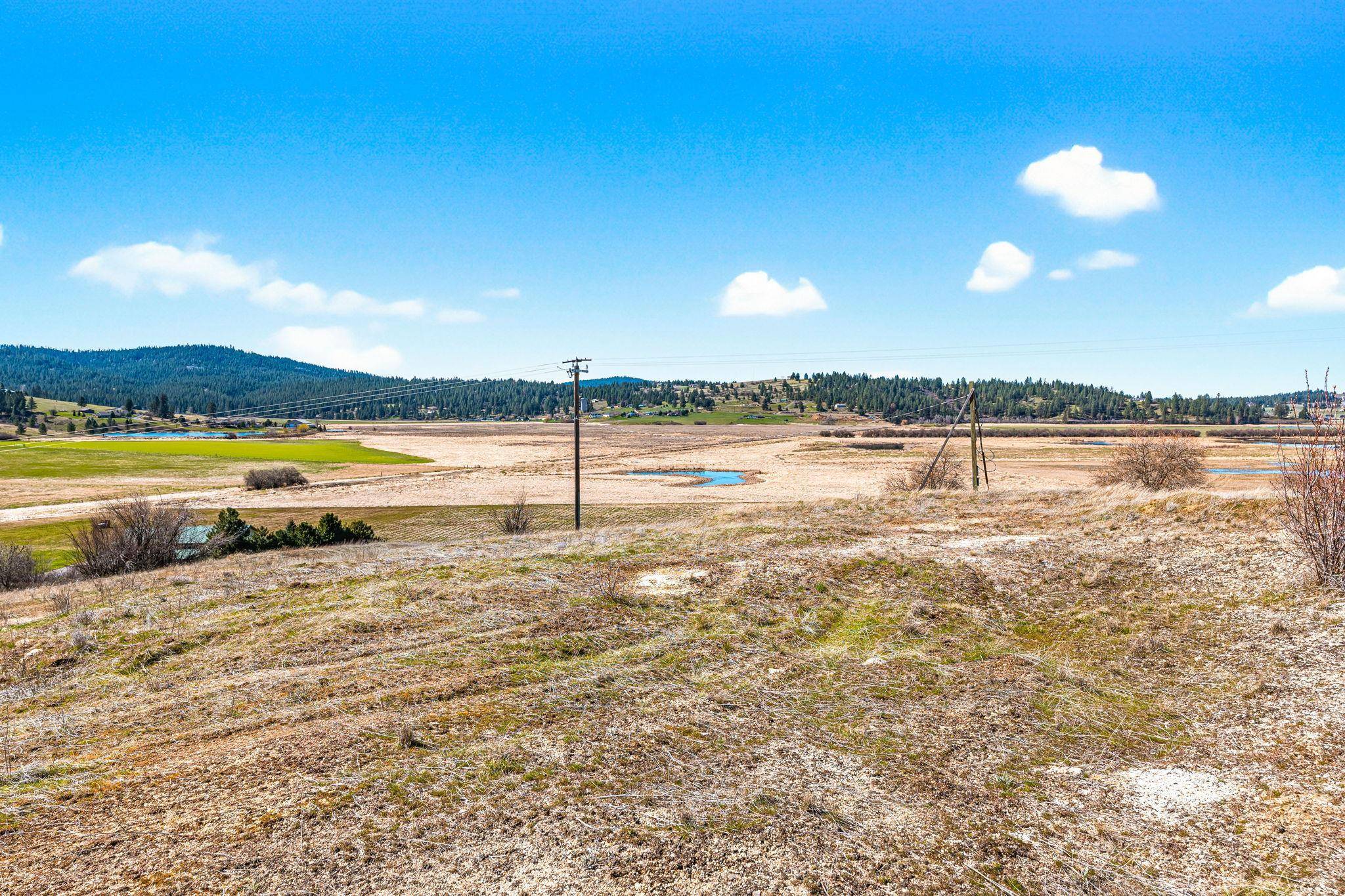3811 S Henry Rd, Greenacres, WA 99016