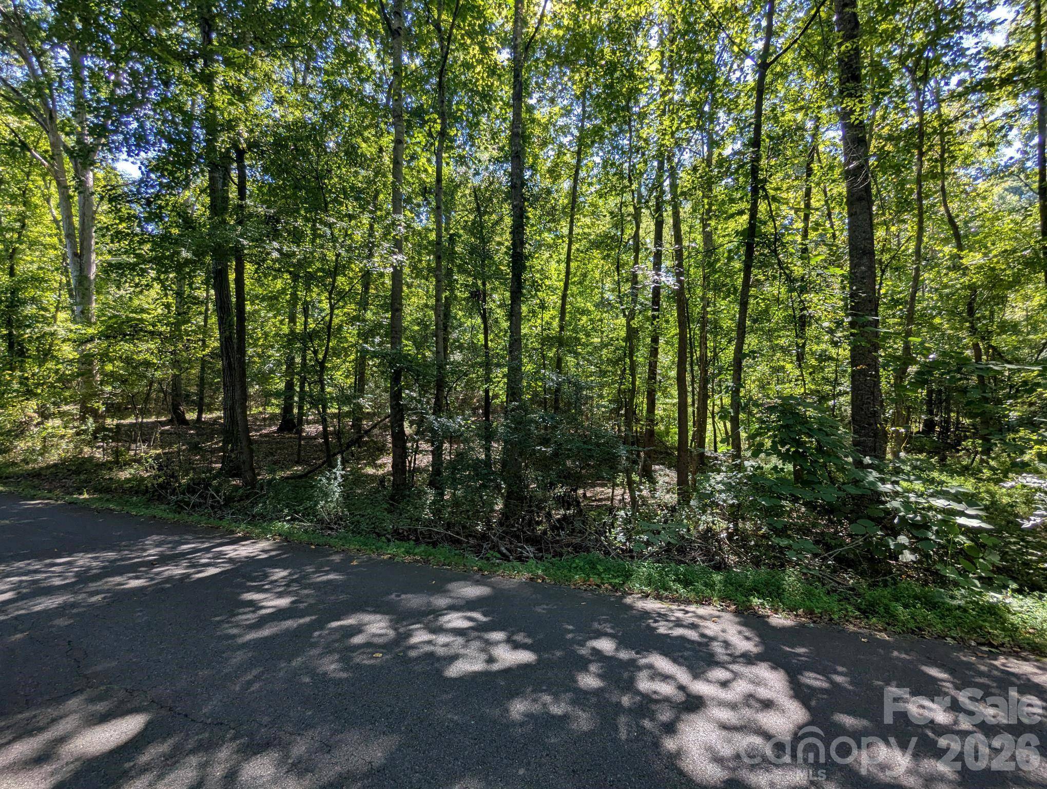 5.66 acres Diane RD, York, SC 29745