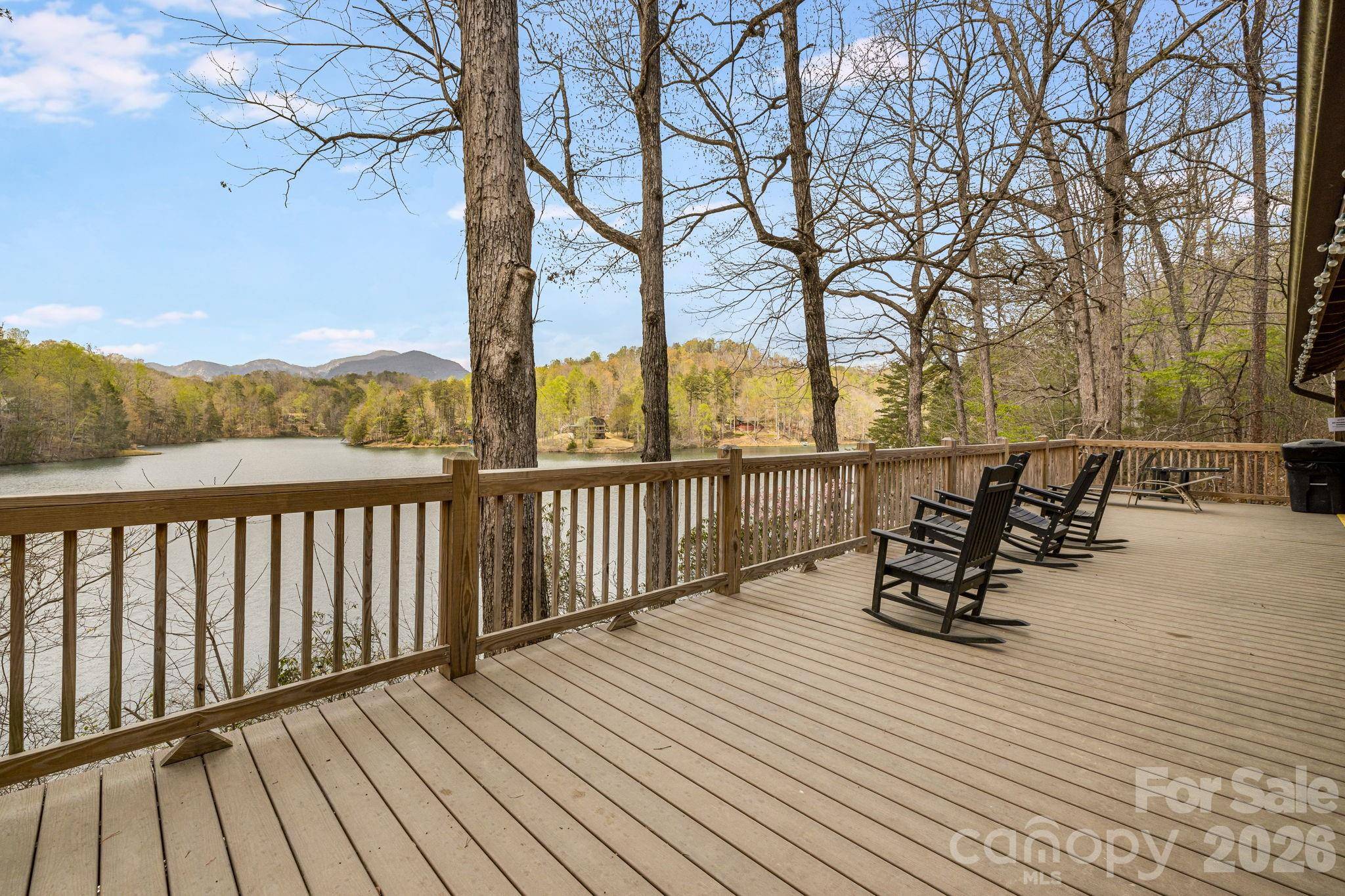 517 Pheasant ST, Lake Lure, NC 28746