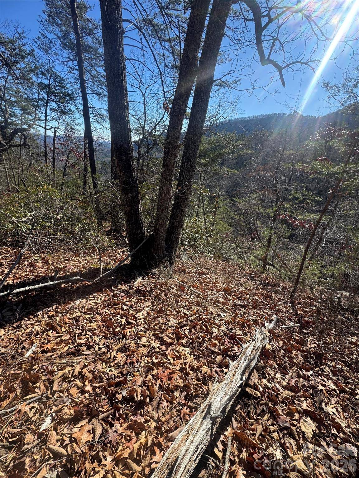 0 Laurel Branch DR #20, Chimney Rock, NC 28720