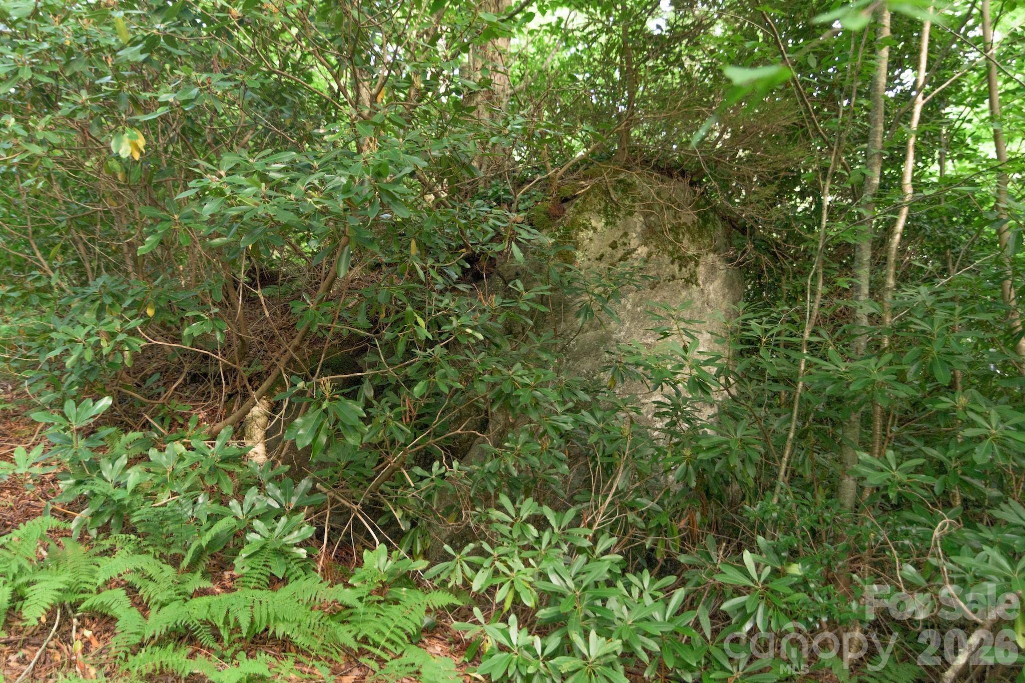 Lot 17R Kilkenney None, Boone, NC 28607