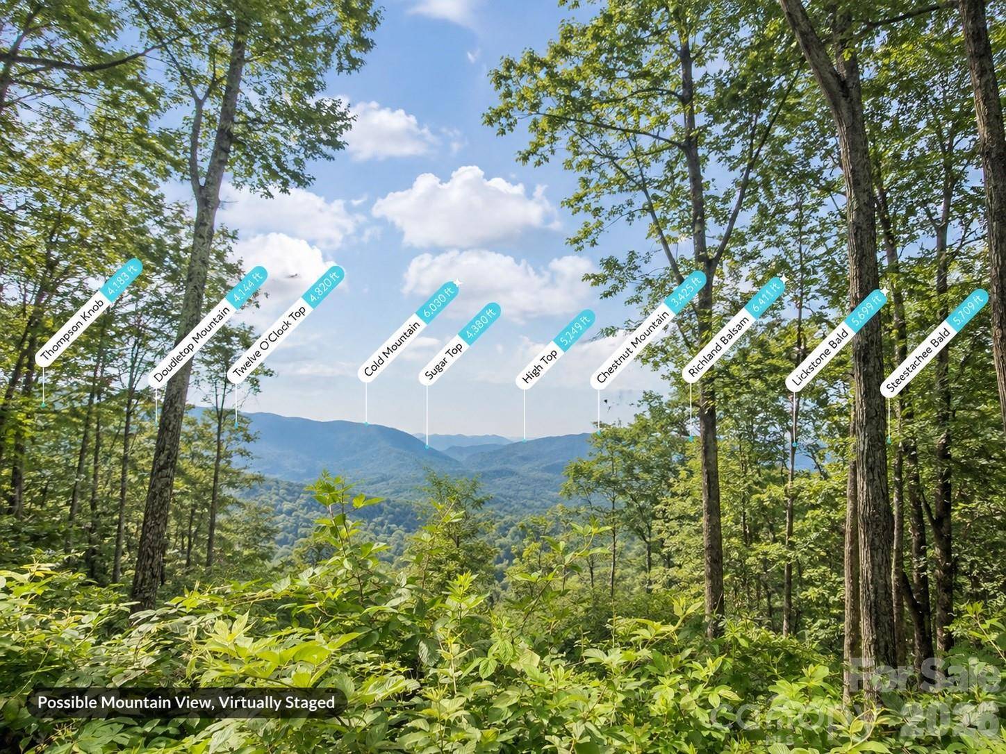 Lot 21 Summit DR, Canton, NC 28716