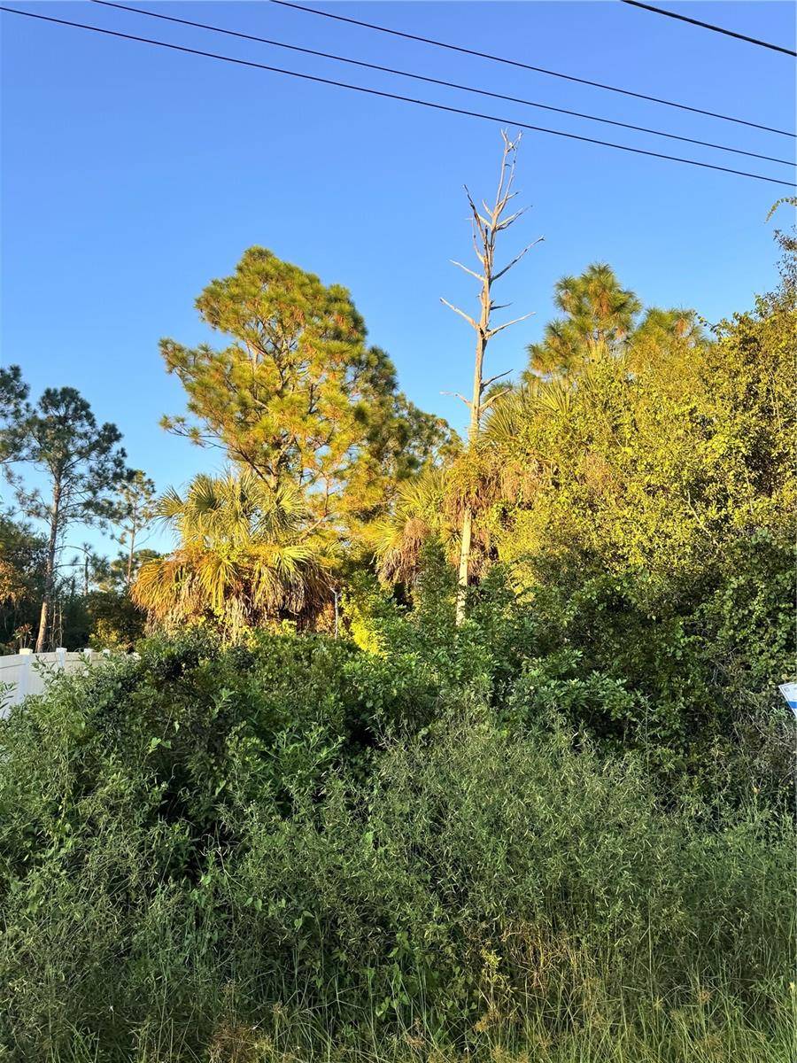 COLORADE AVE, North Port, FL 34286