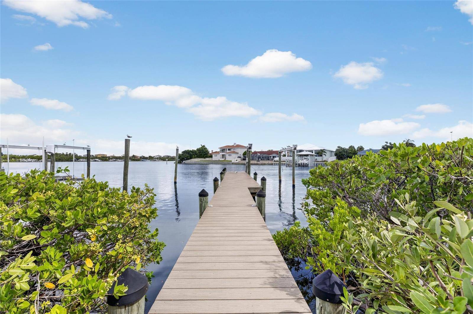1231 ACAPPELLA LN, Apollo Beach, FL 33572