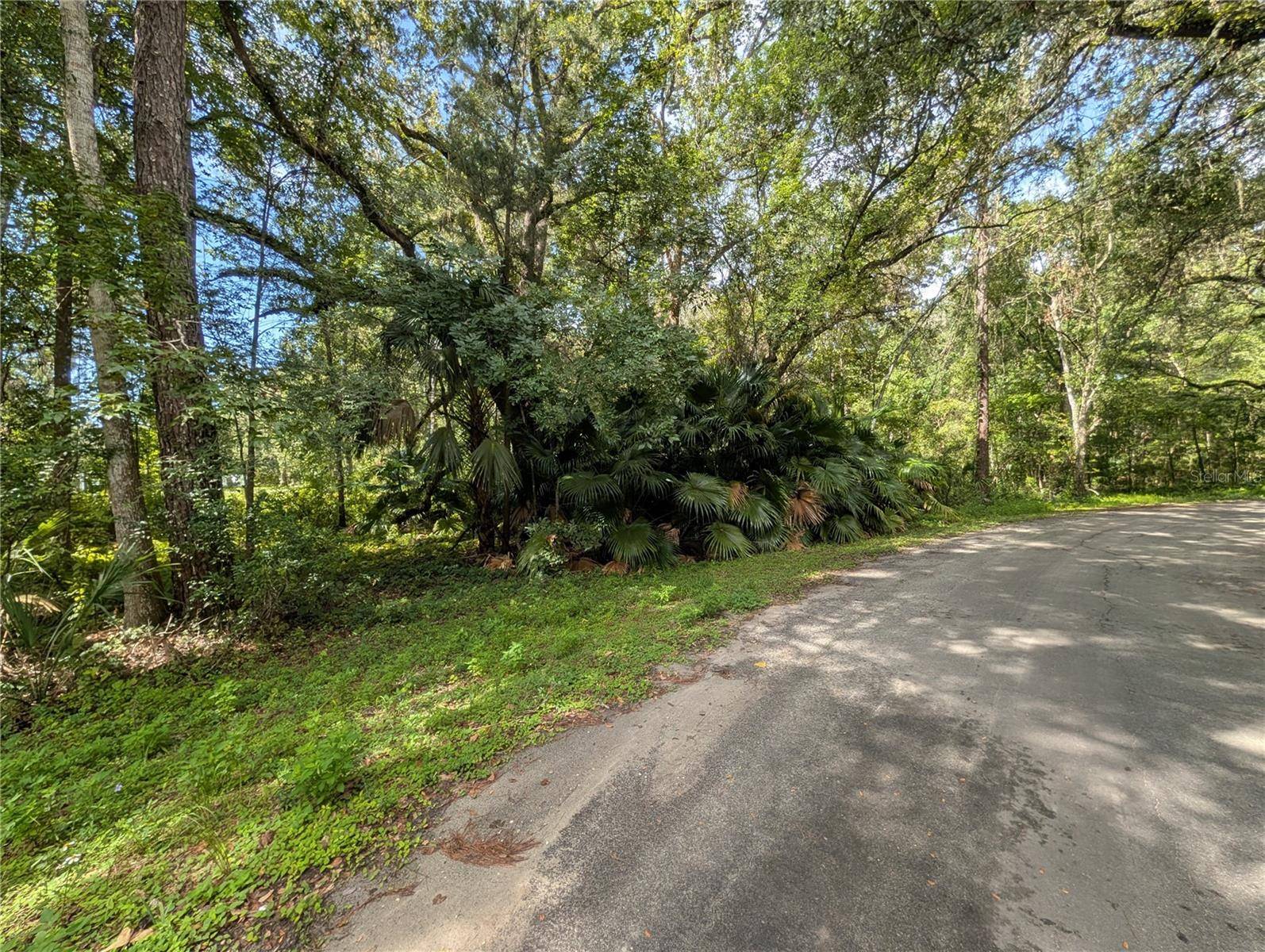 0 WILDWOOD DR, Brooksville, FL 34601