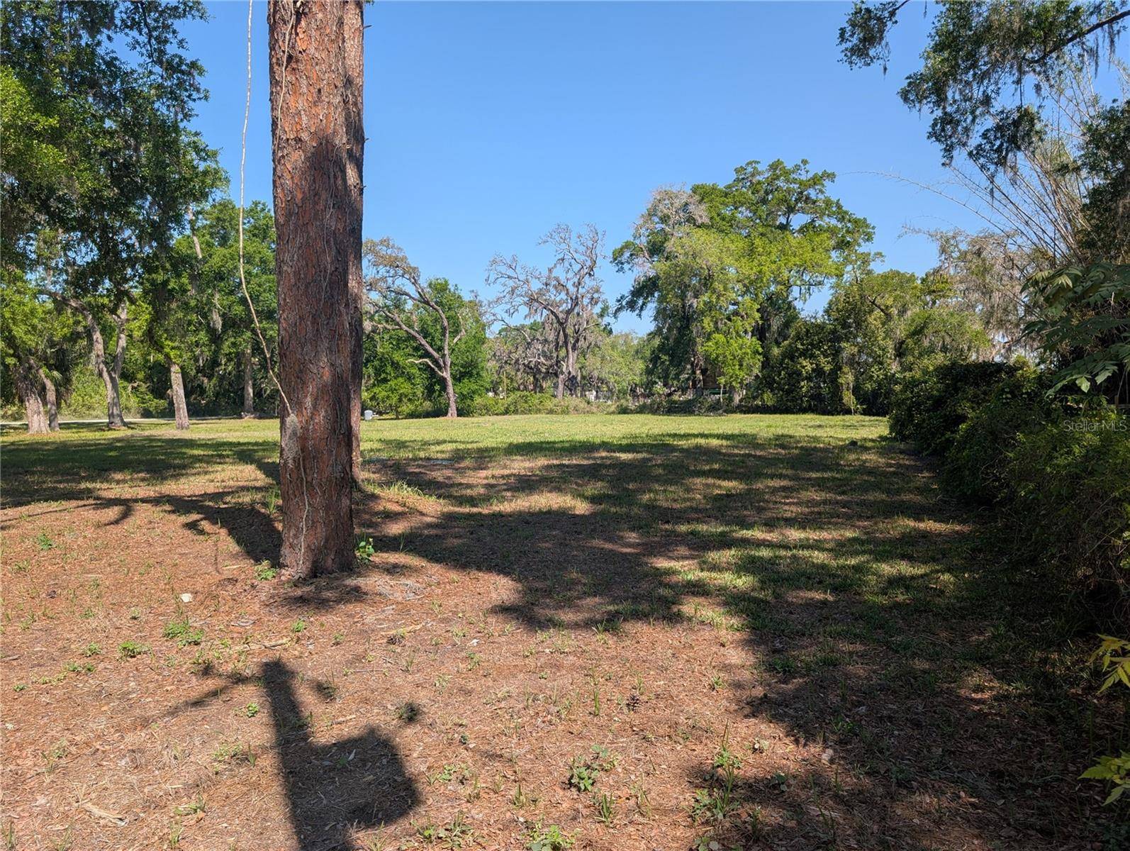 8519 ADONIS RD, New Port Richey, FL 34654
