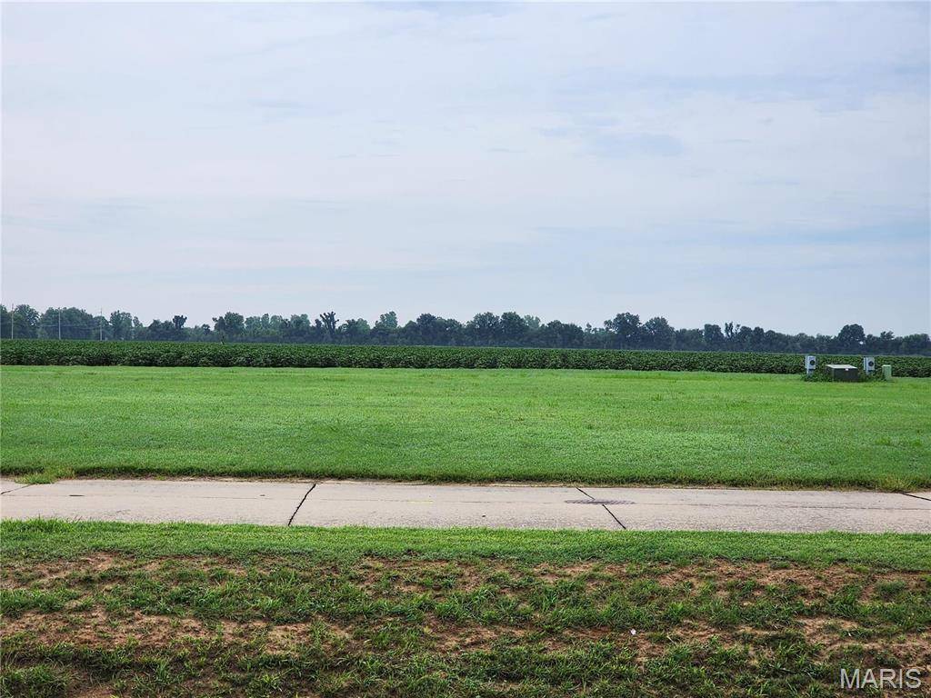 807 Bollweevil Blvd, Sikeston, MO 63801