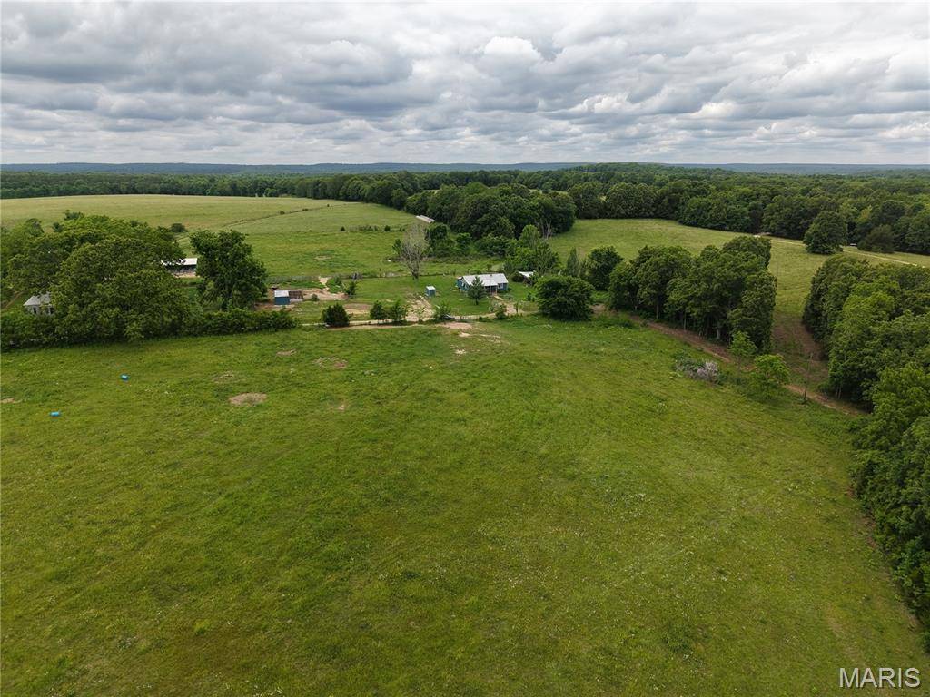 40190 Dandelion RD, Falcon, MO 65470