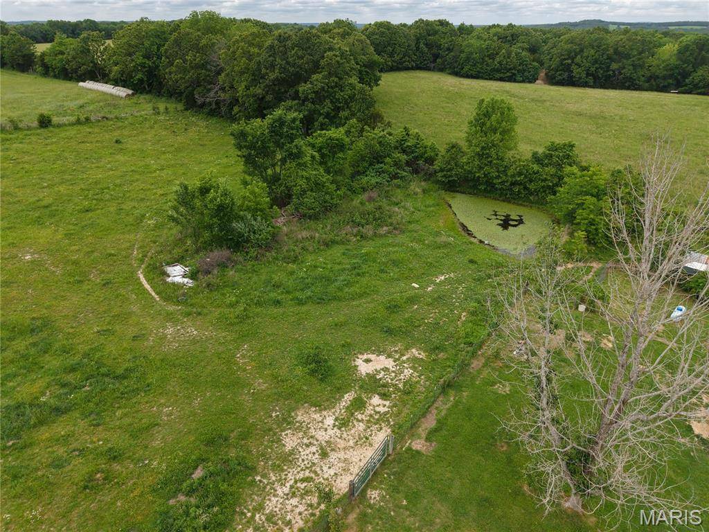 40190 Dandelion RD, Falcon, MO 65470
