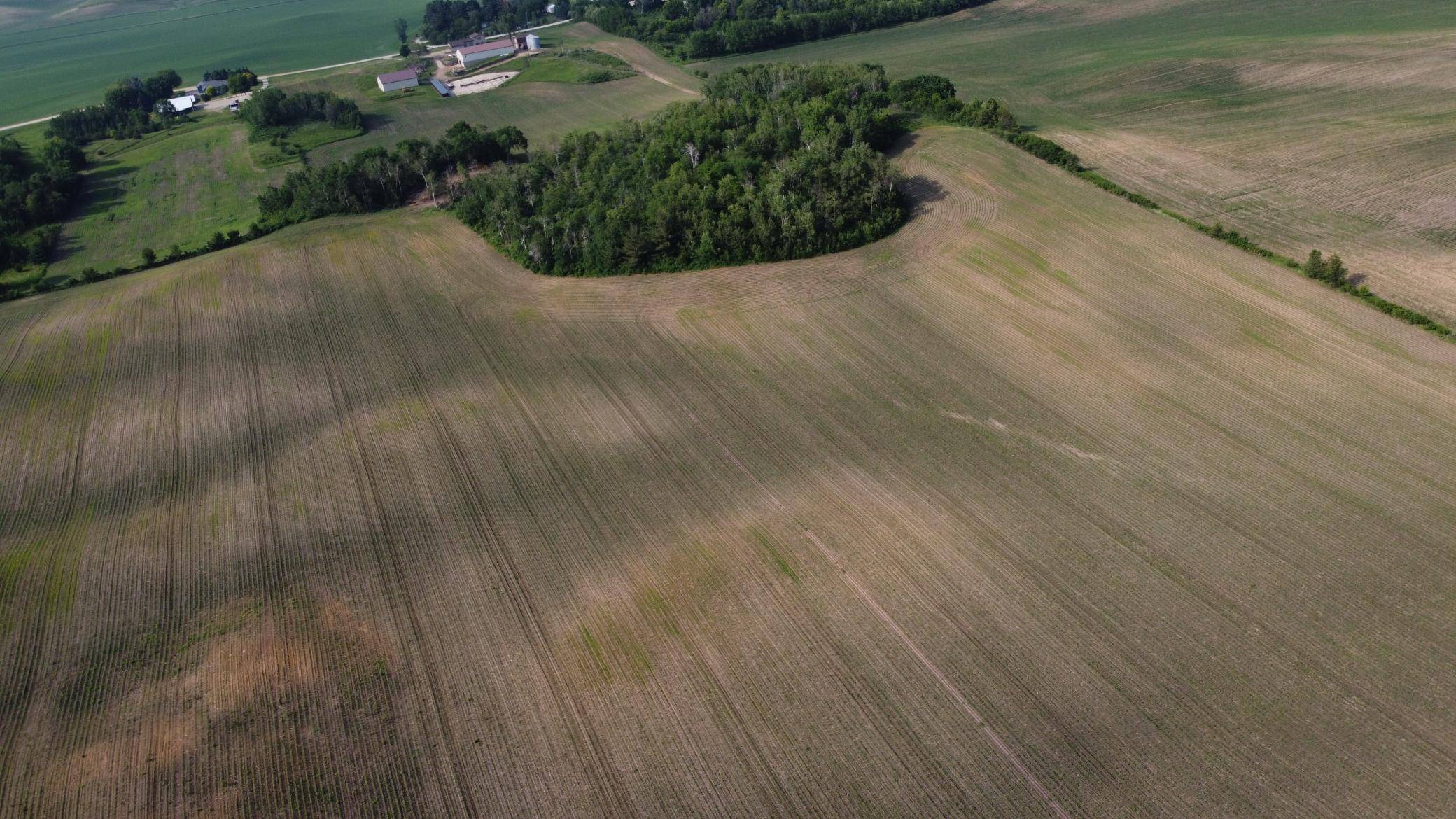 TBD 250th st E, Hampton, MN 55031