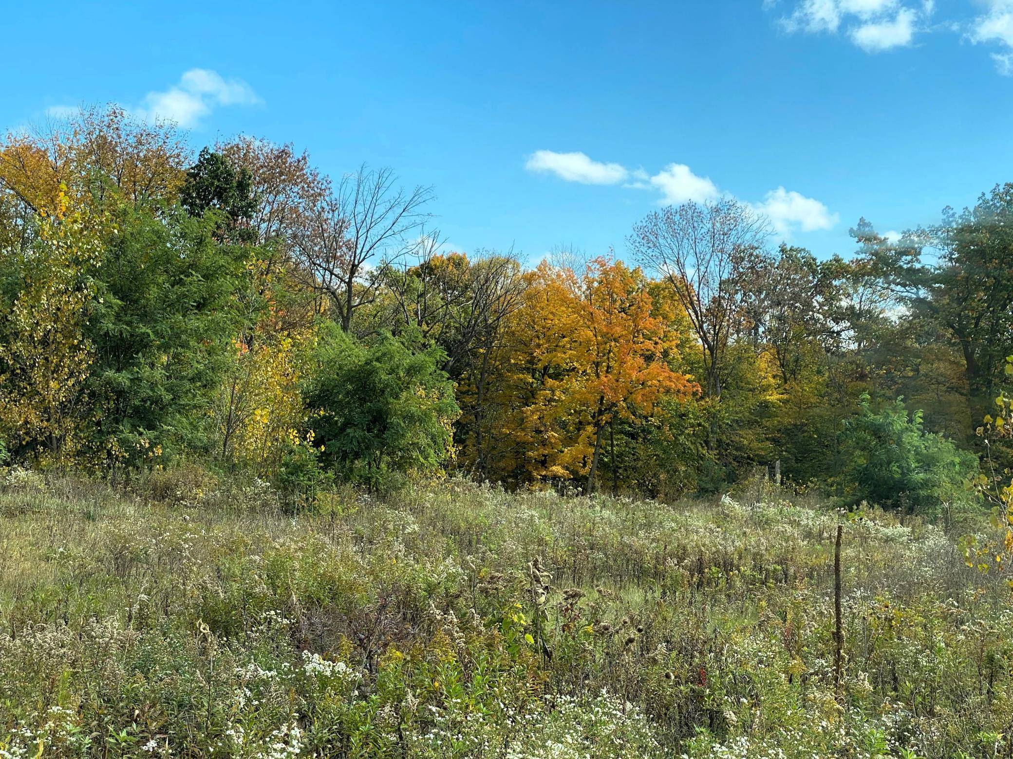 1112 Timber PATH, Menomonie, WI 54751