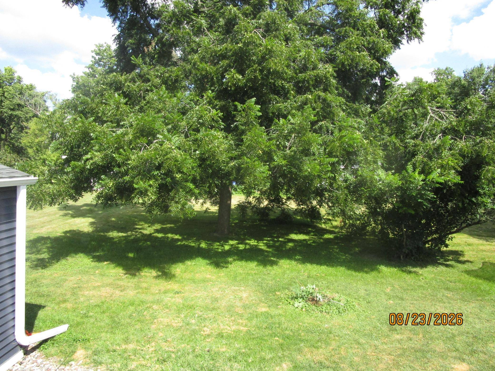 306 2nd ST SW, Pine Island, MN 55963