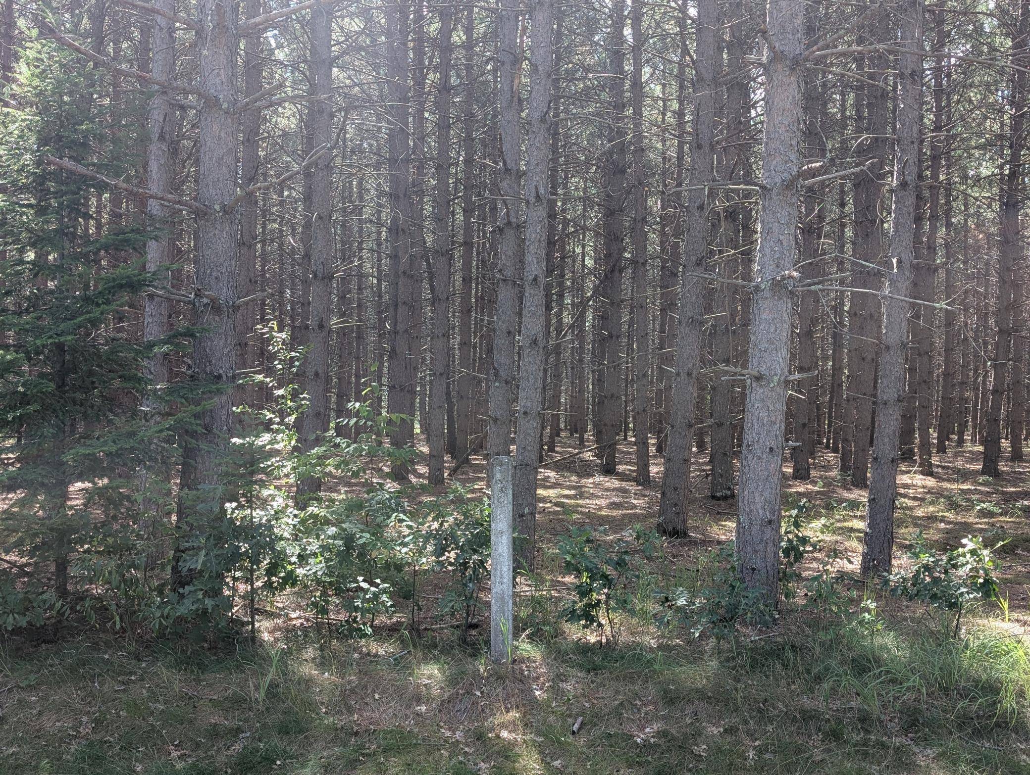 Lot 9 block 1 Fawn Lake Road, Cross Lake, MN 56442