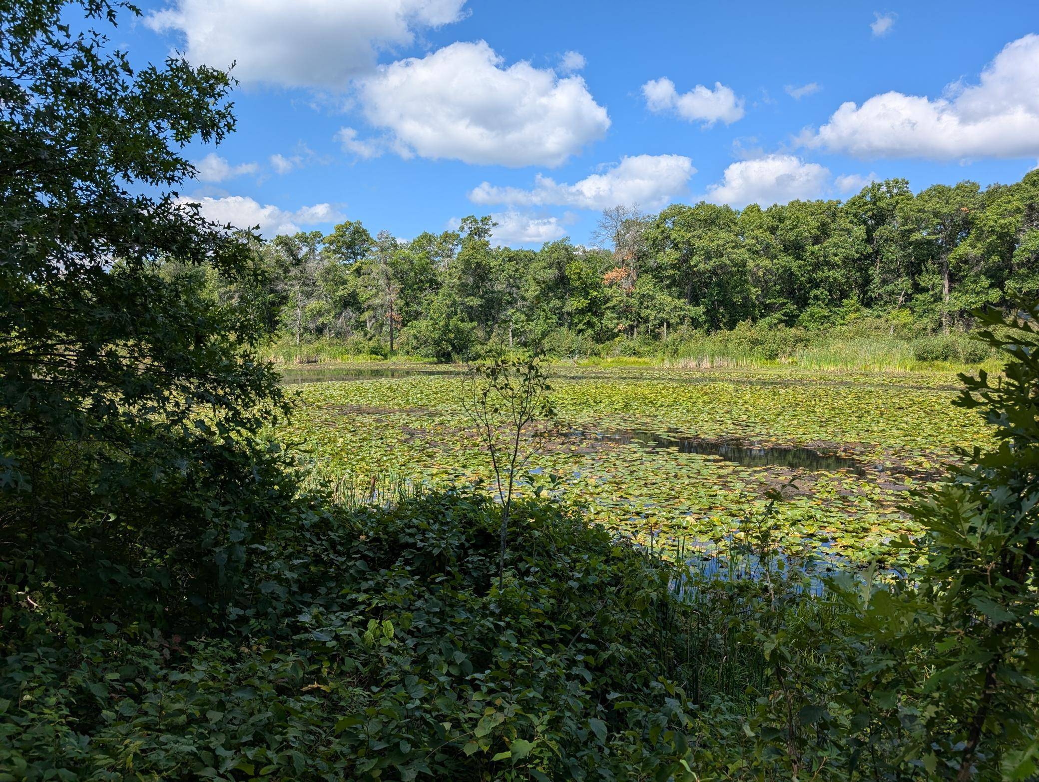 Lot 9 block 1 Fawn Lake Road, Cross Lake, MN 56442