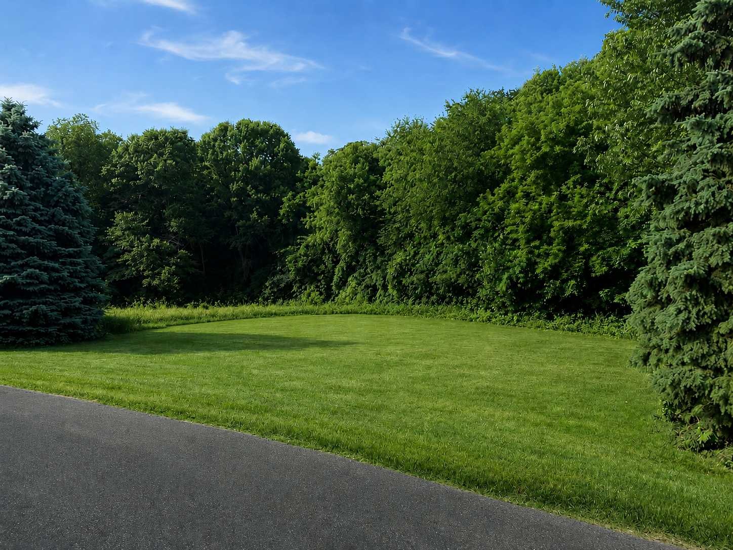 TBD Furlong TRL, Hastings, MN 55033